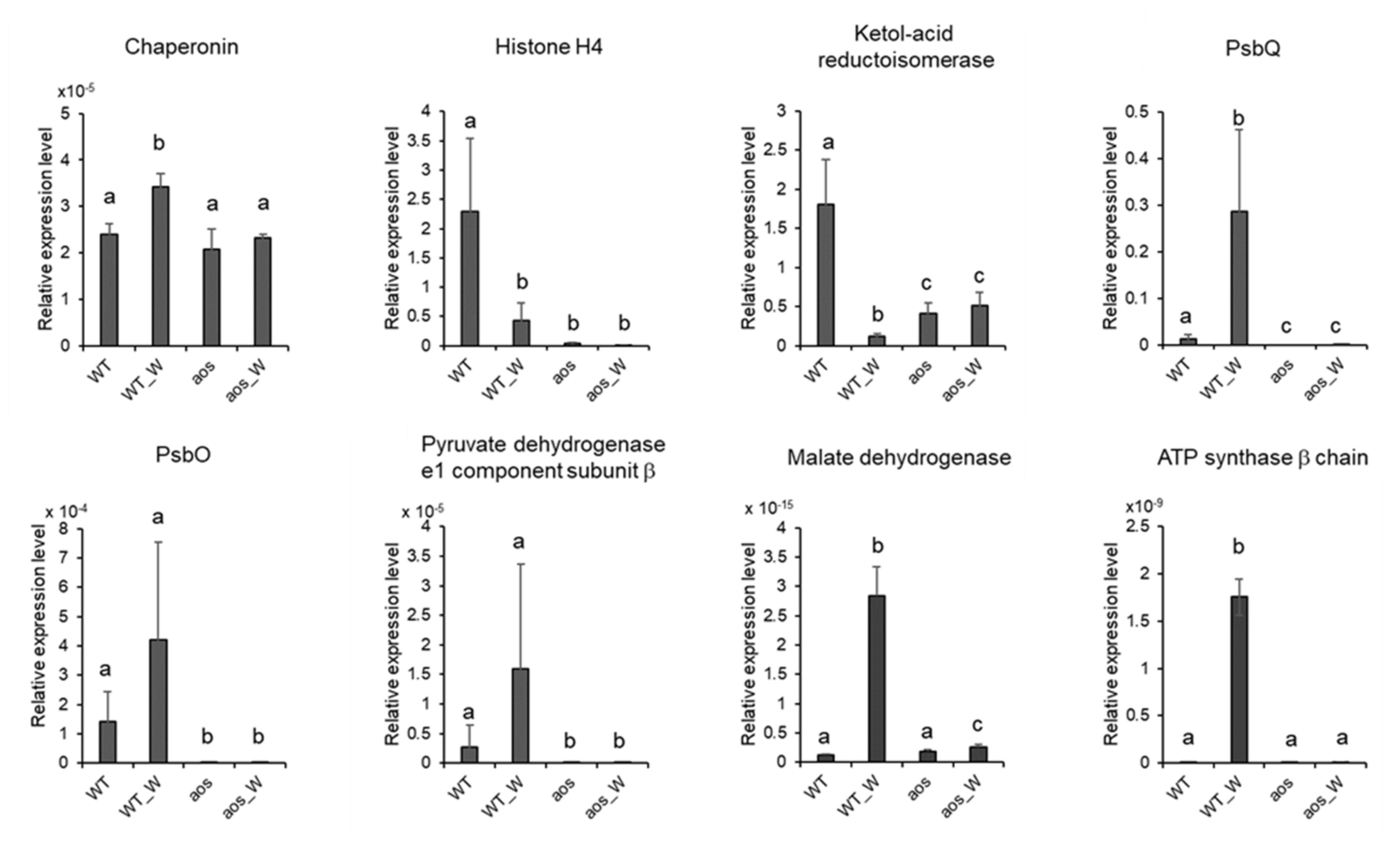 Ijms 21 01417 g008 550