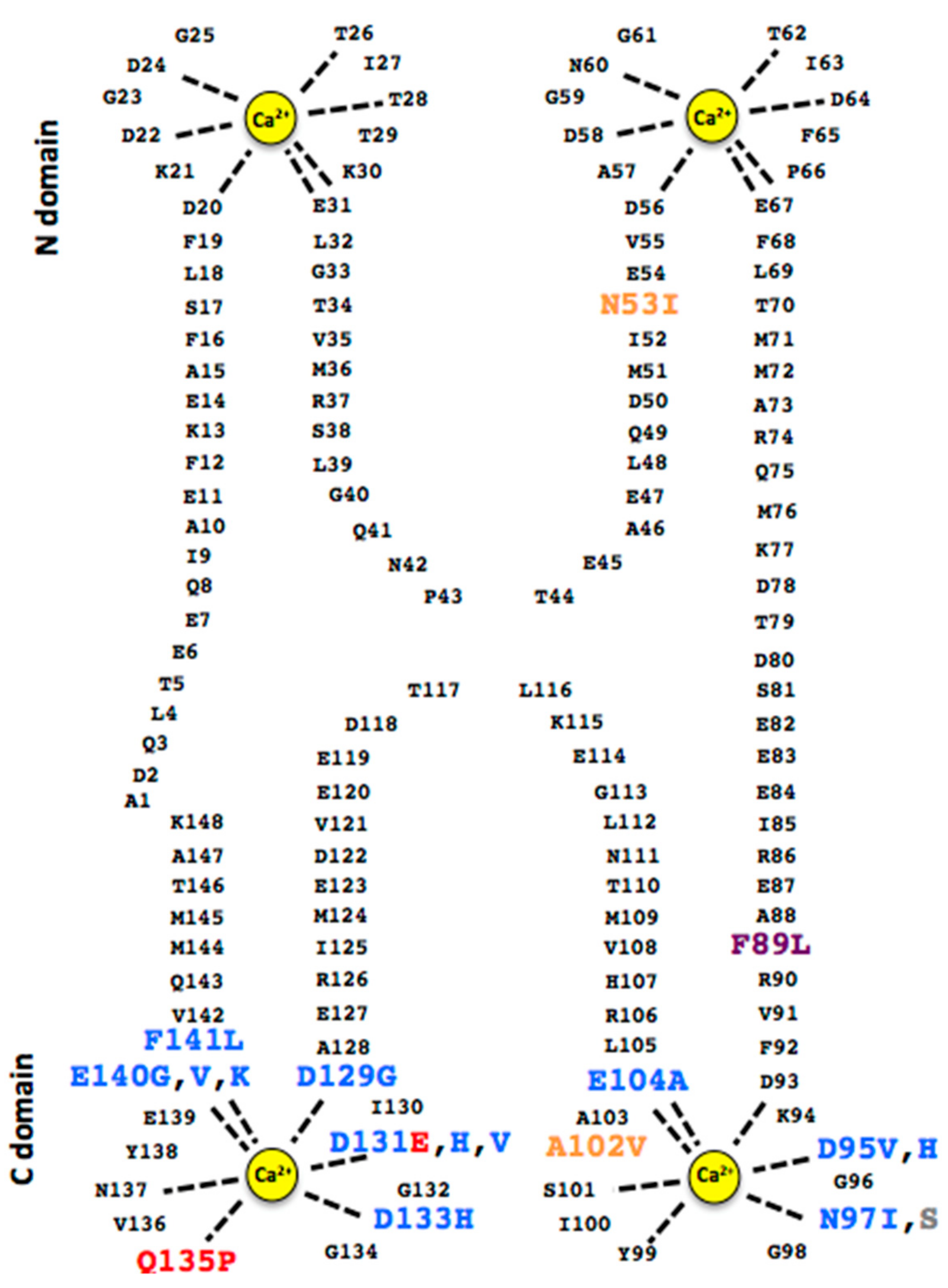 Ijms 21 01418 g001 Ijms 21 01418 g001