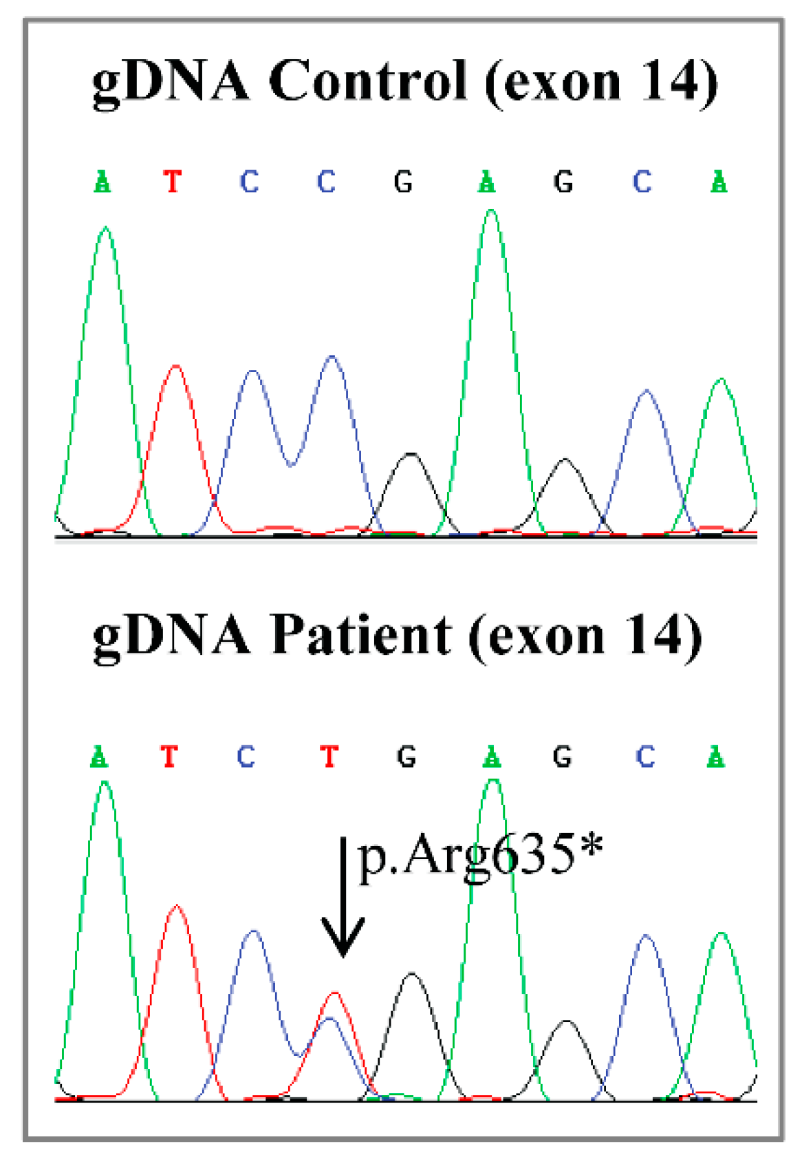 Ijms 21 01426 g0a1 Ijms 21 01426 g0a1