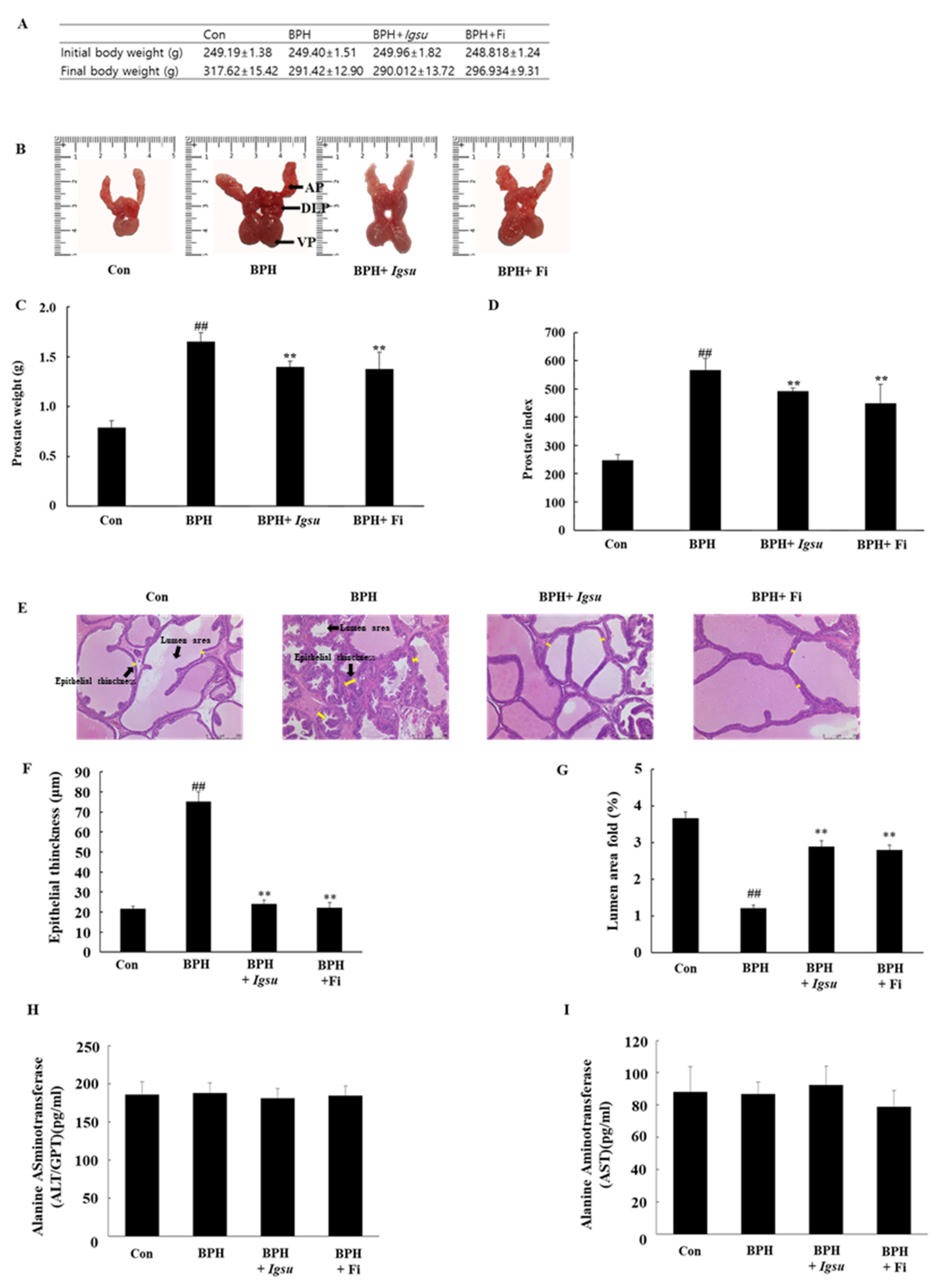 Ijms 21 01435 g004 Ijms 21 01435 g004