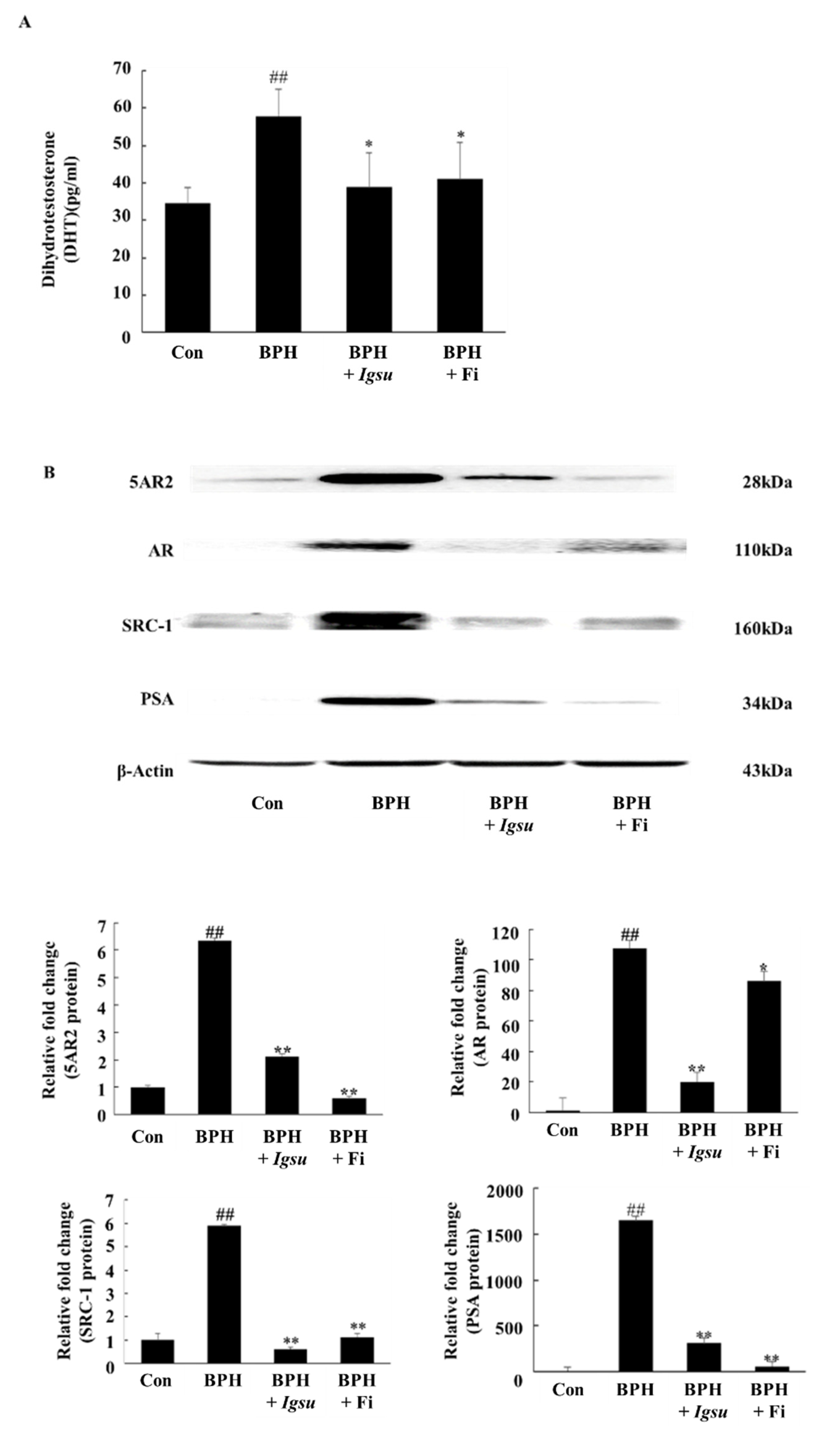 Ijms 21 01435 g005 Ijms 21 01435 g005
