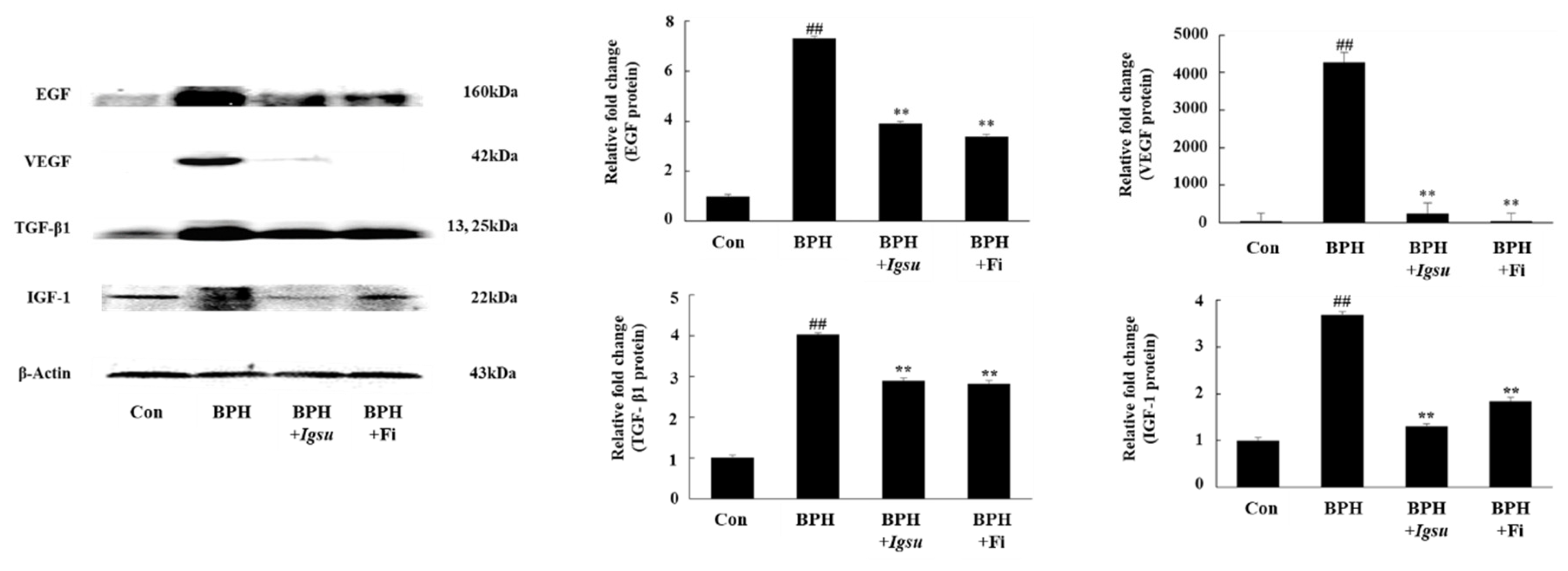 Ijms 21 01435 g006 Ijms 21 01435 g006
