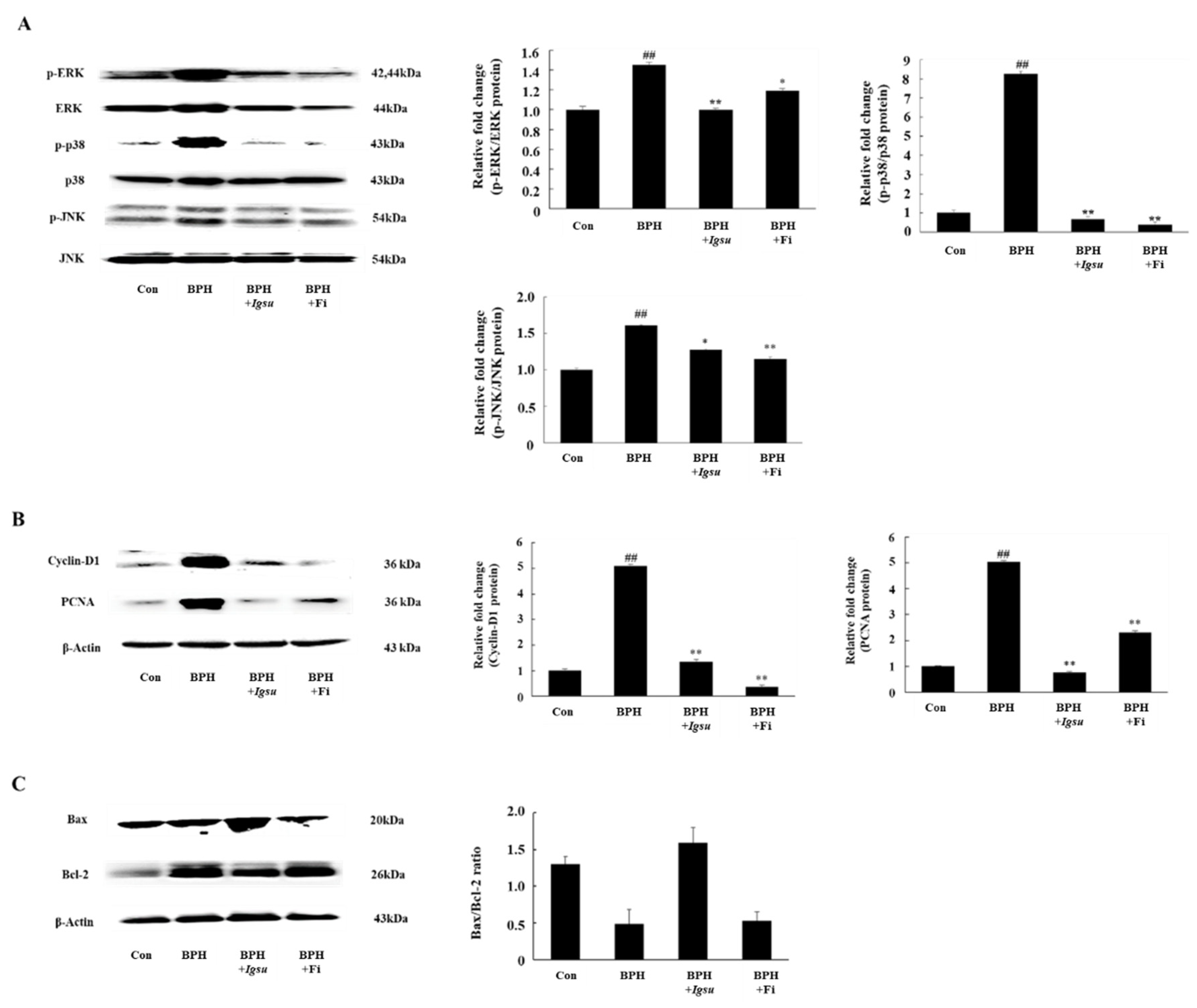 Ijms 21 01435 g007 Ijms 21 01435 g007