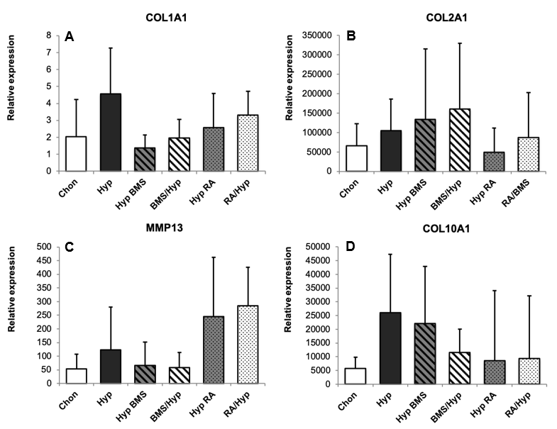 Ijms 21 01444 g006 Ijms 21 01444 g006