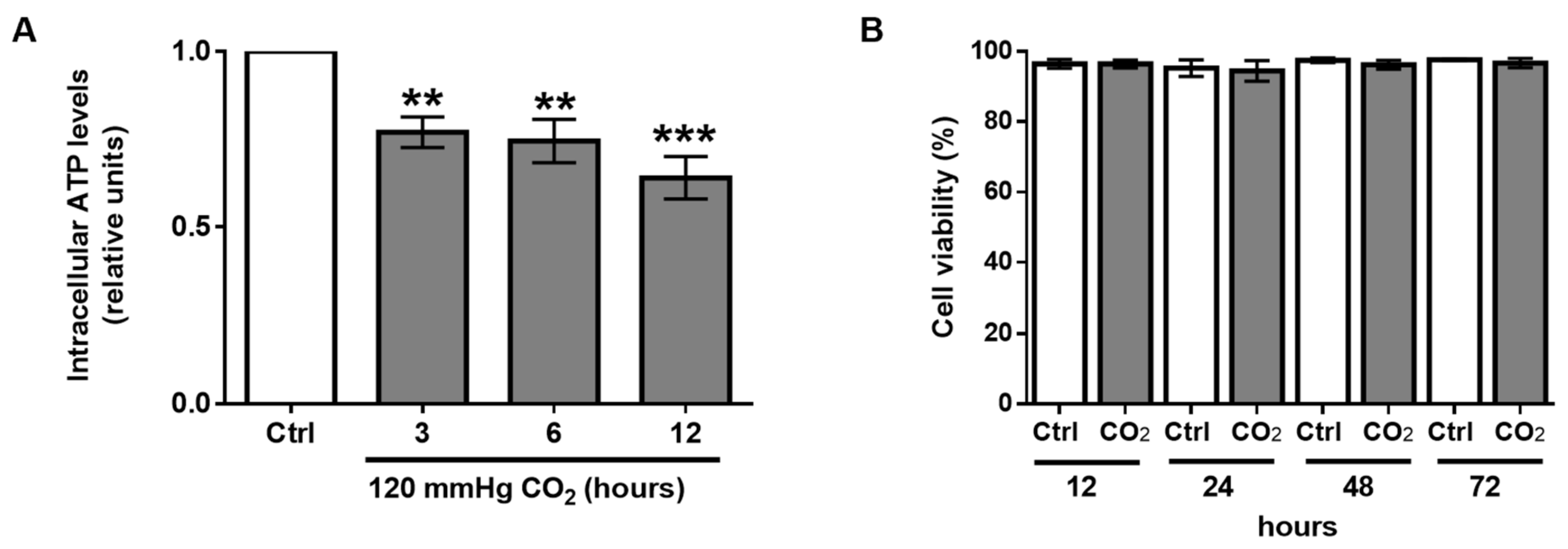 Ijms 21 01467 g005 Ijms 21 01467 g005