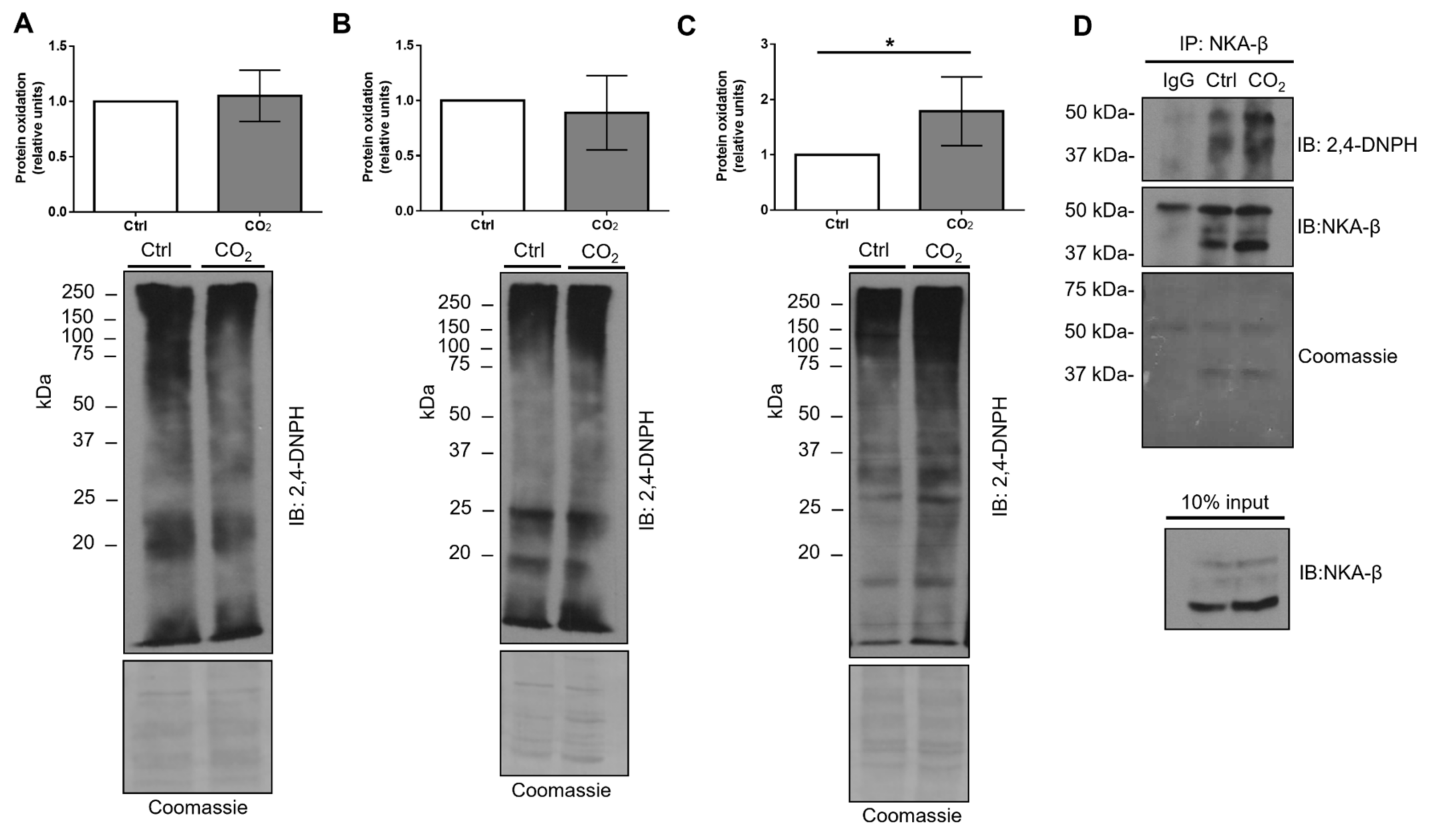 Ijms 21 01467 g006 Ijms 21 01467 g006