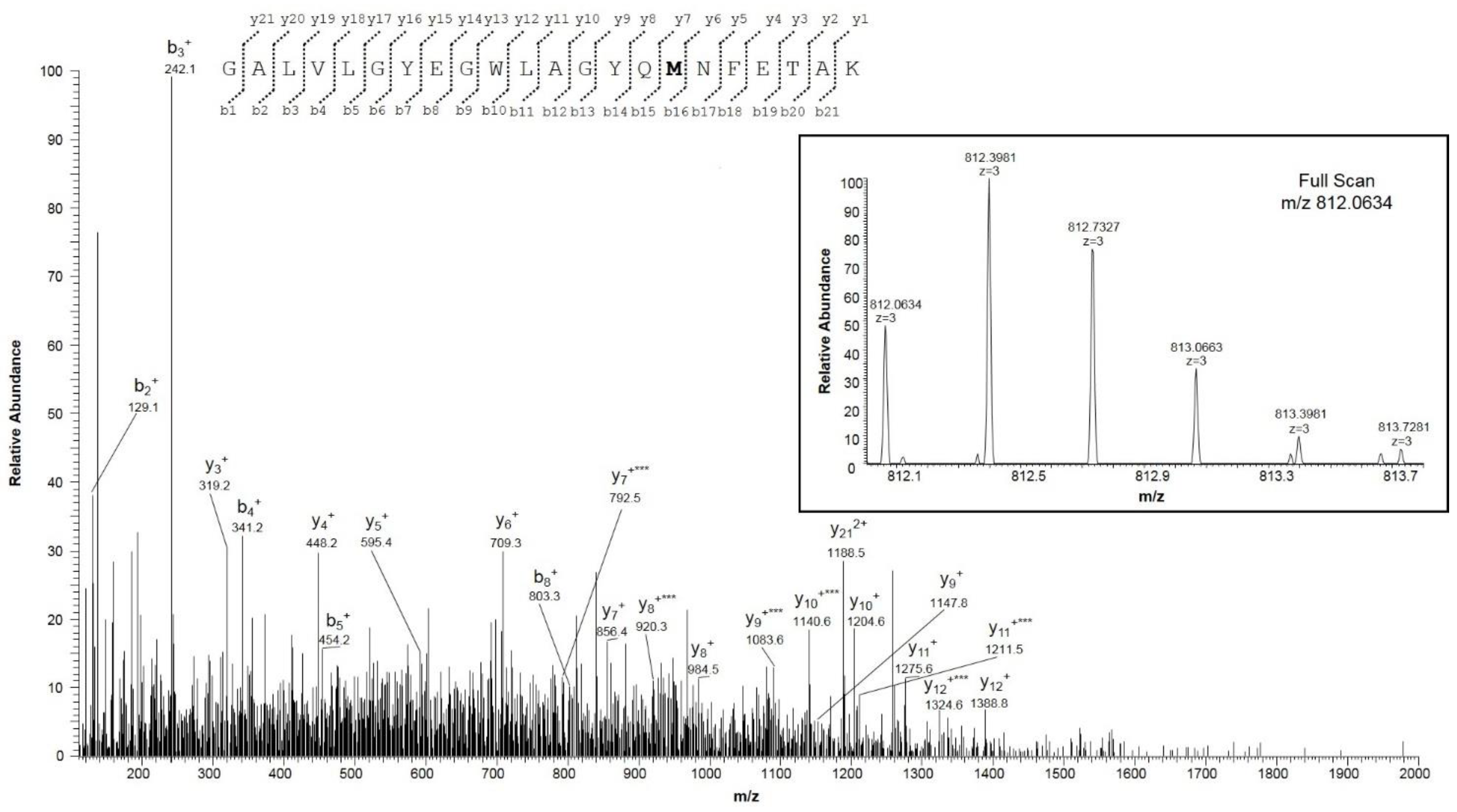 Ijms 21 01468 g003 Ijms 21 01468 g003