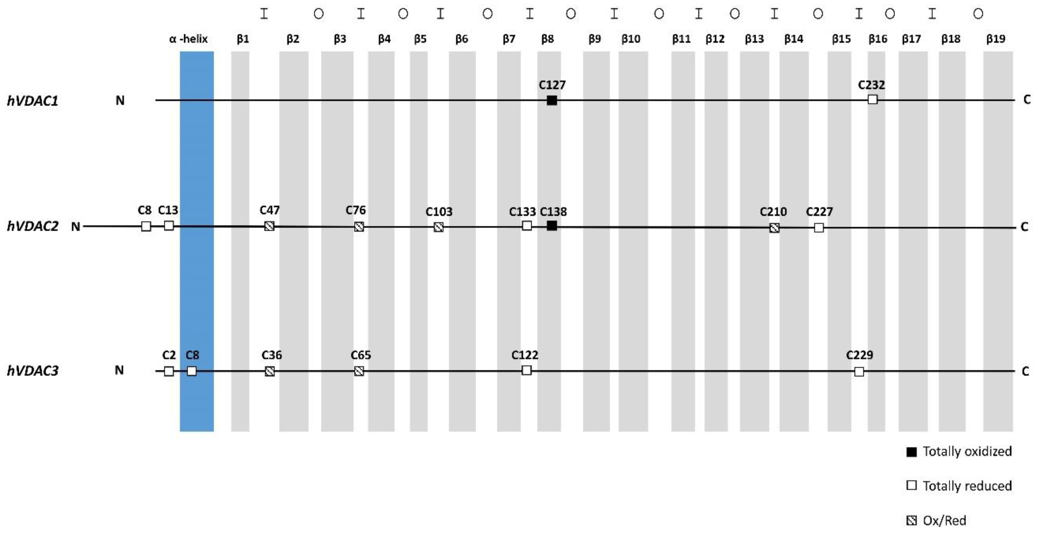 Ijms 21 01468 g006 Ijms 21 01468 g006