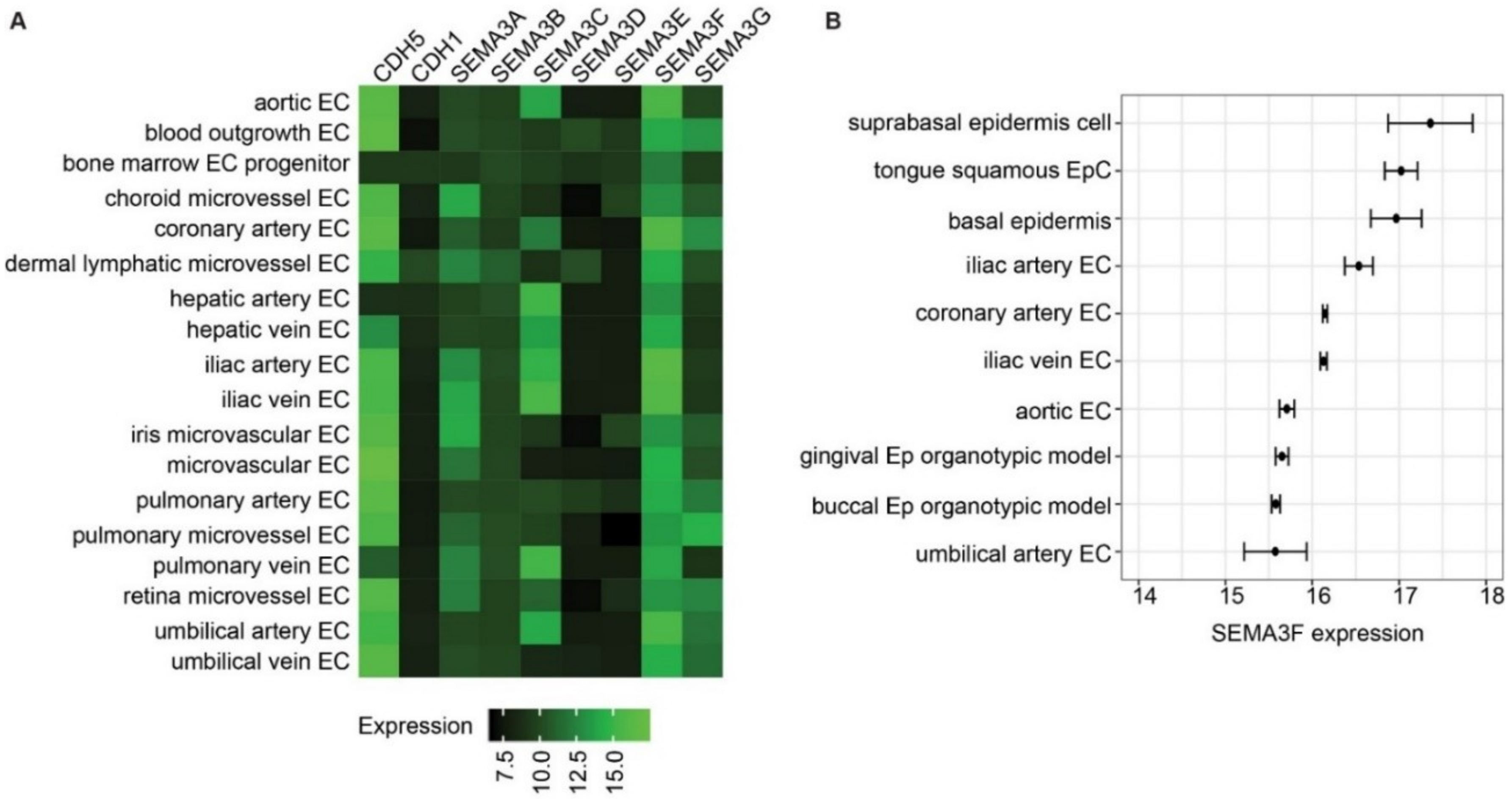 Ijms 21 01471 g001 Ijms 21 01471 g001