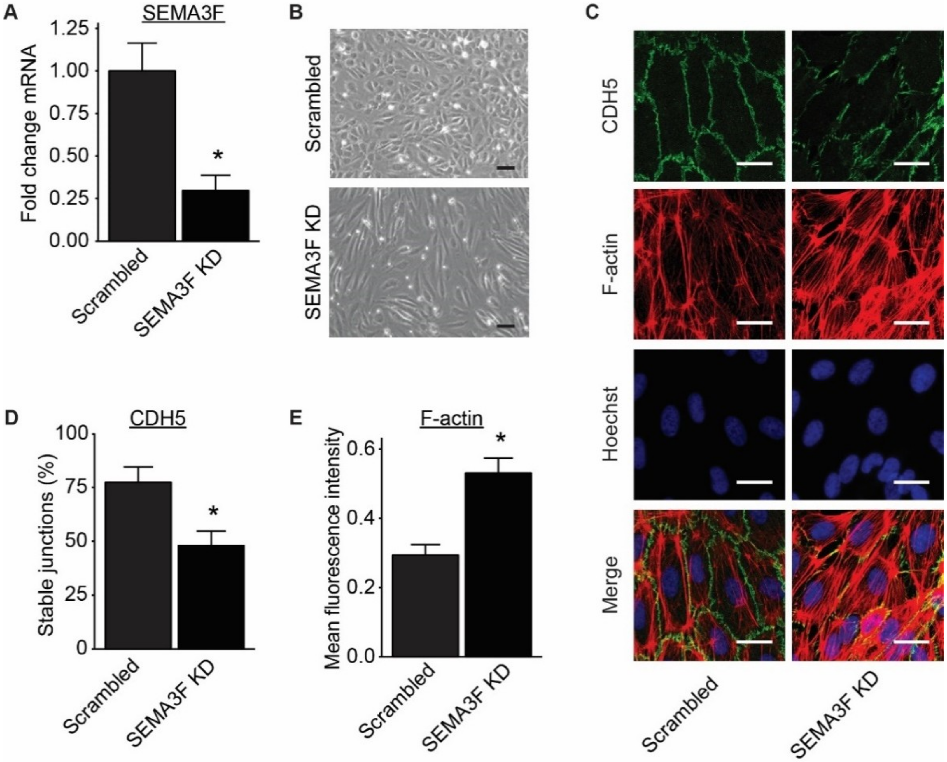 Ijms 21 01471 g005 Ijms 21 01471 g005