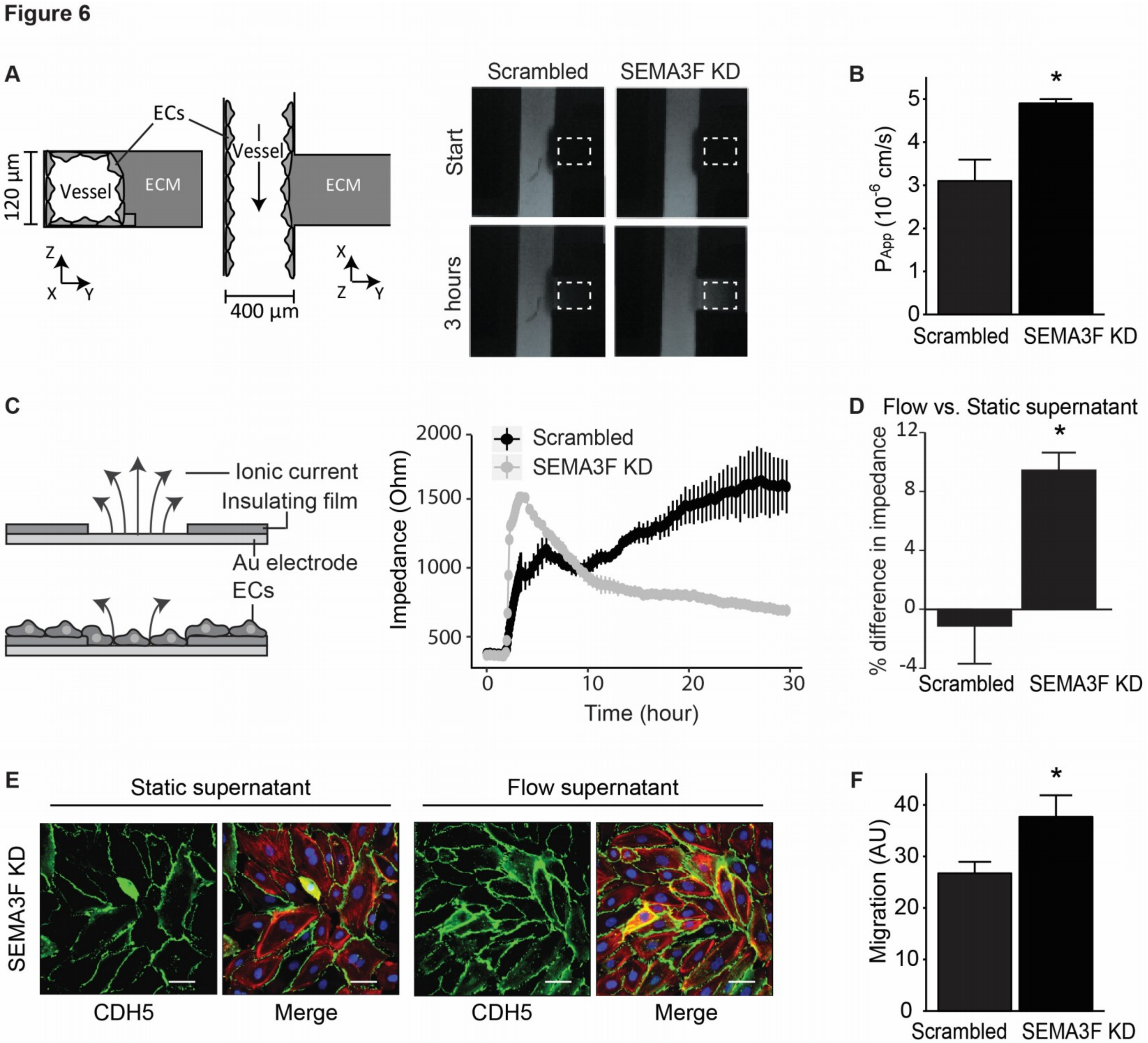 Ijms 21 01471 g006 Ijms 21 01471 g006