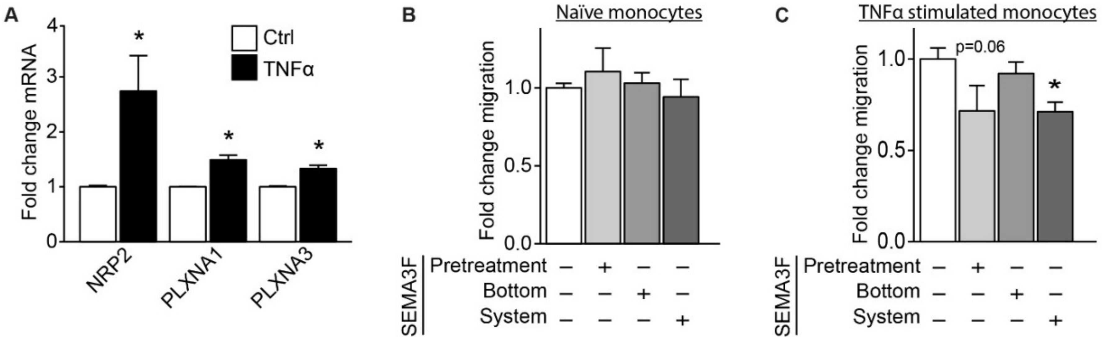 Ijms 21 01471 g007 Ijms 21 01471 g007