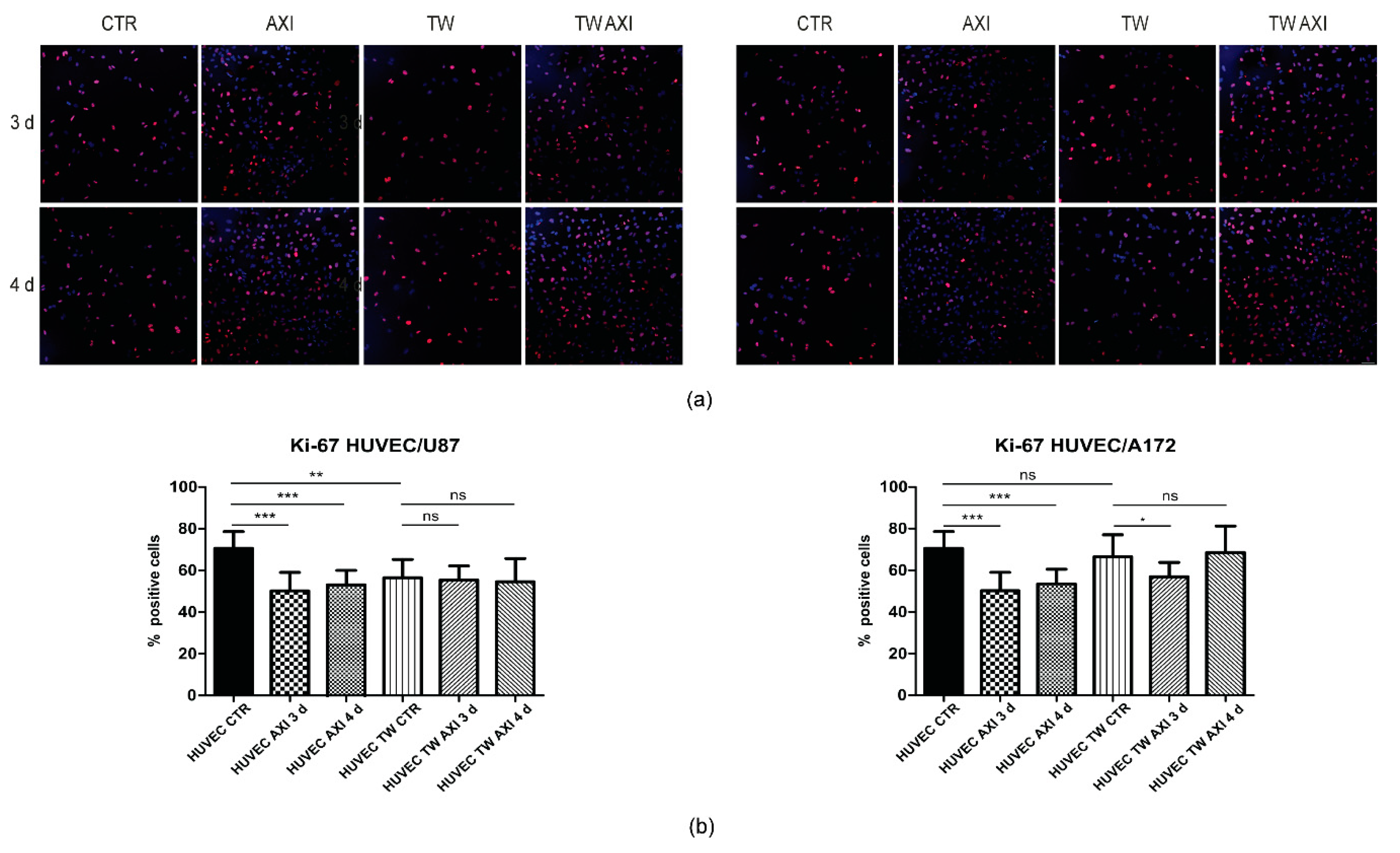 Ijms 21 01490 g003 Ijms 21 01490 g003