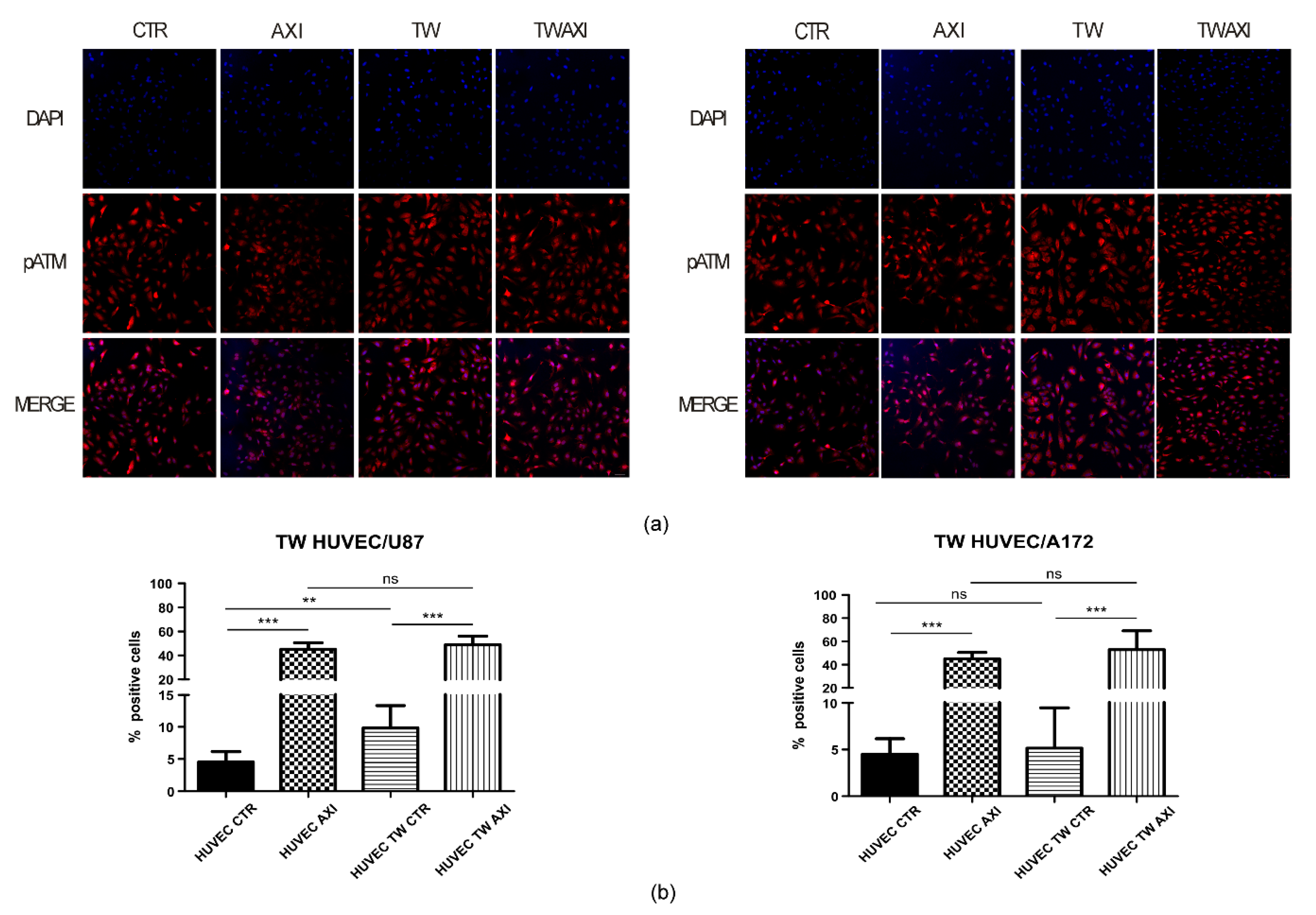Ijms 21 01490 g004 Ijms 21 01490 g004