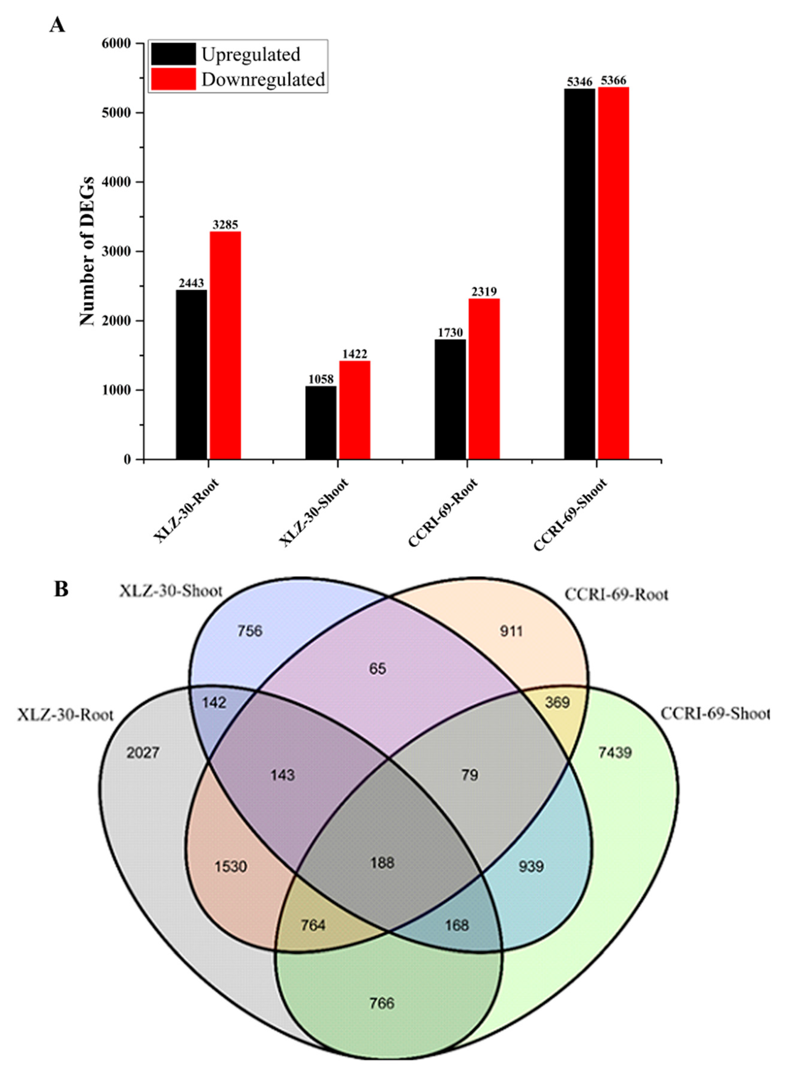 Ijms 21 01500 g001 Ijms 21 01500 g001
