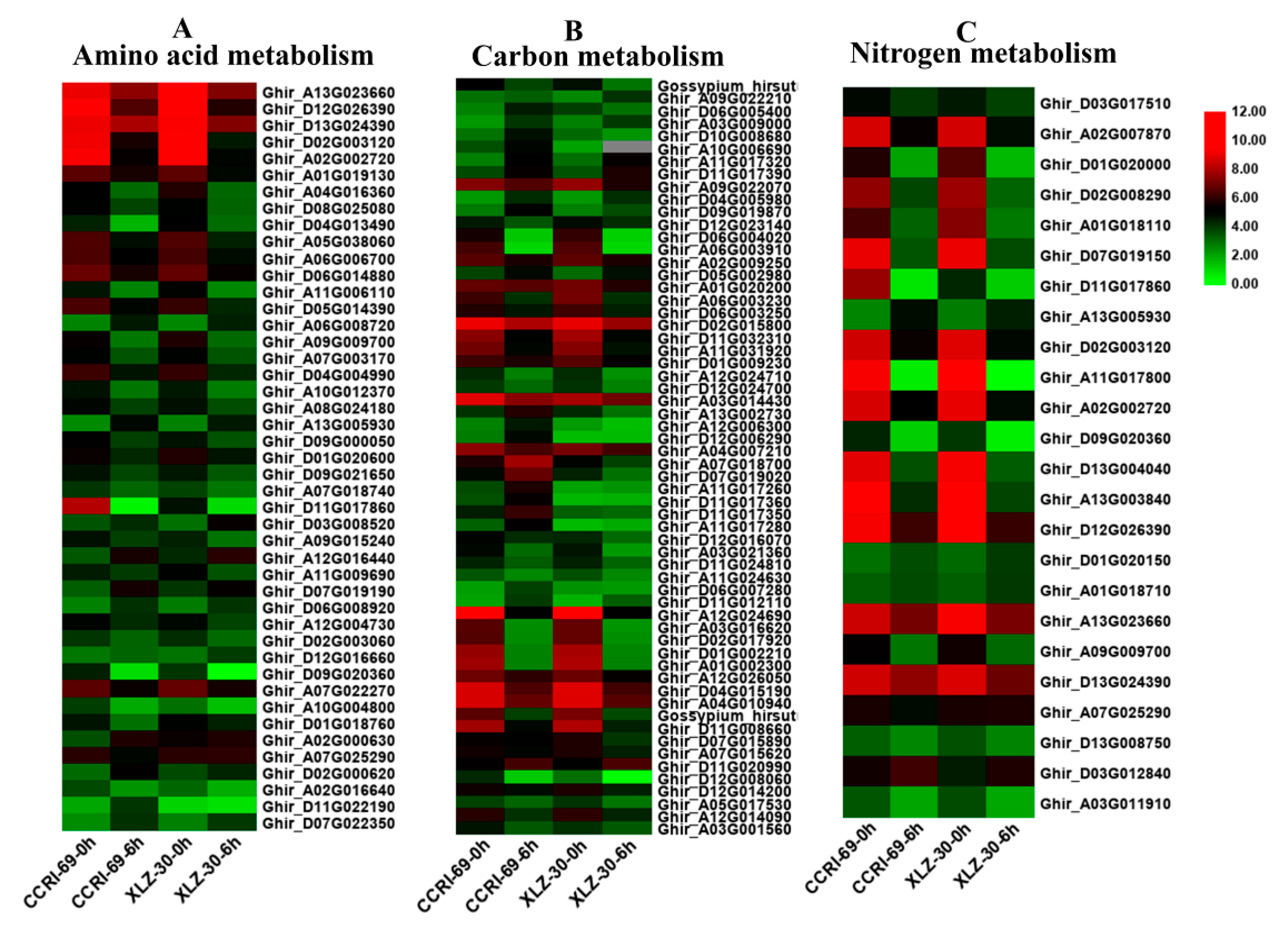 Ijms 21 01500 g004 Ijms 21 01500 g004