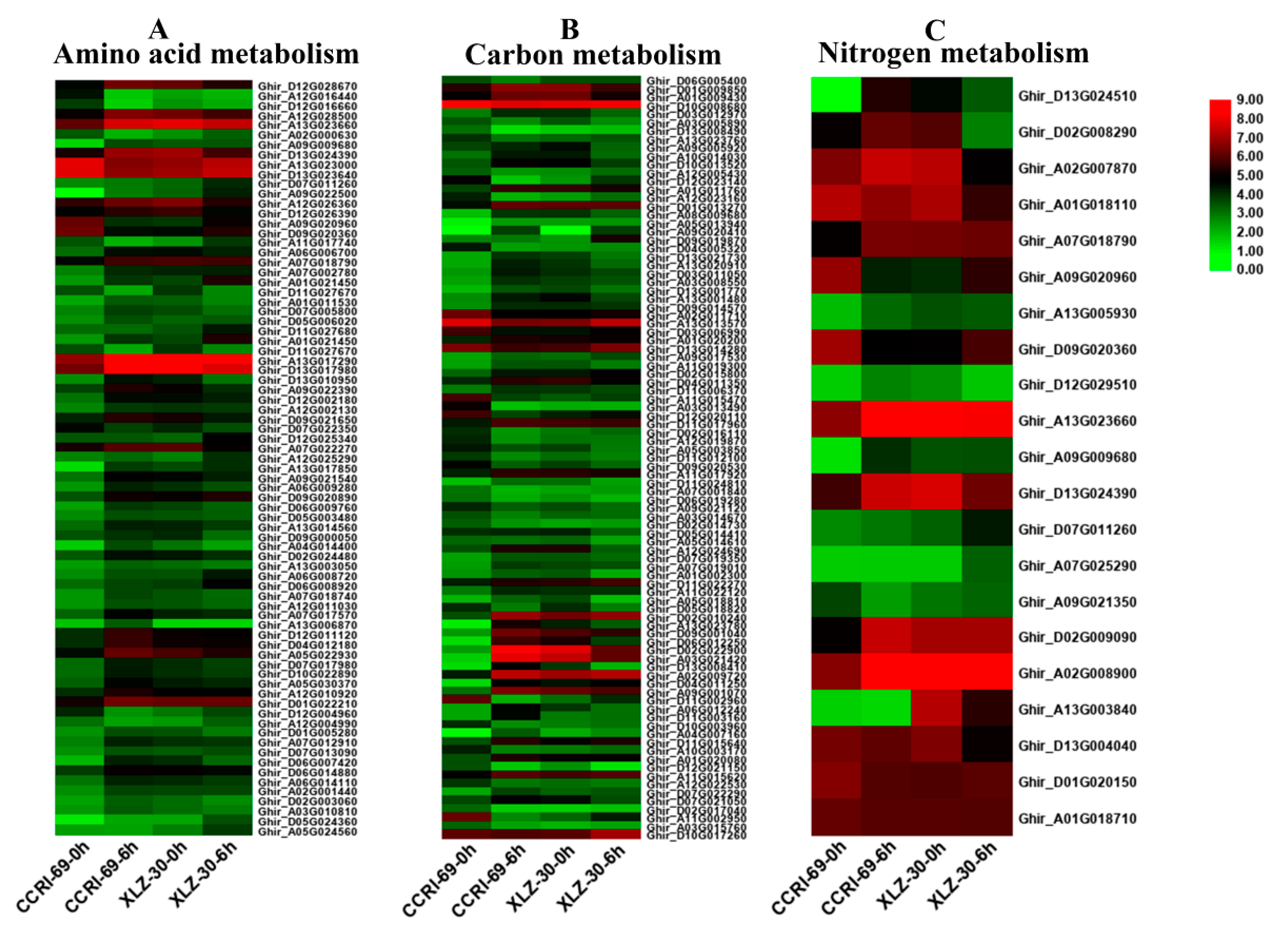 Ijms 21 01500 g005 Ijms 21 01500 g005