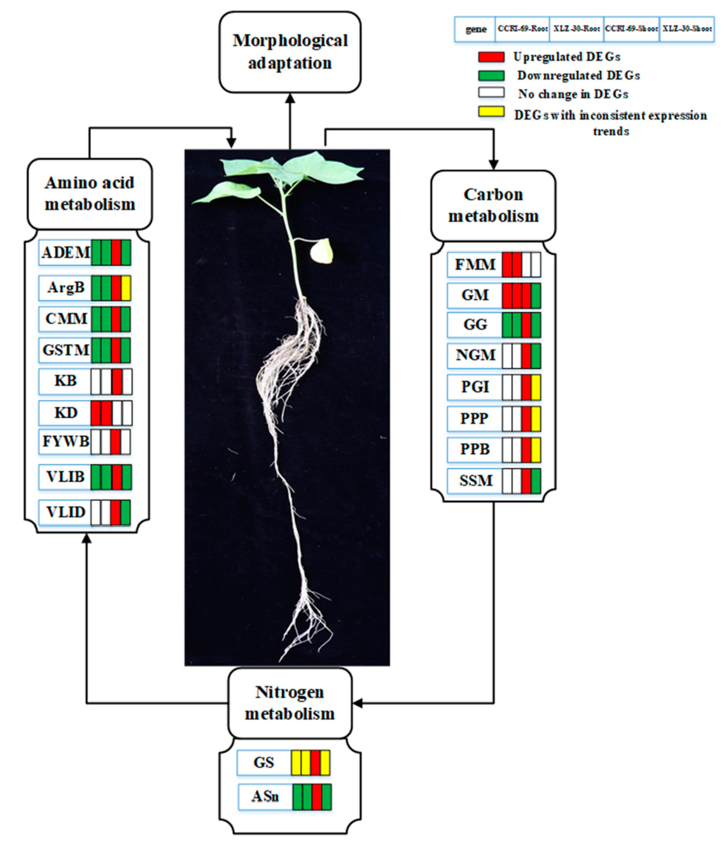 Ijms 21 01500 g009 Ijms 21 01500 g009