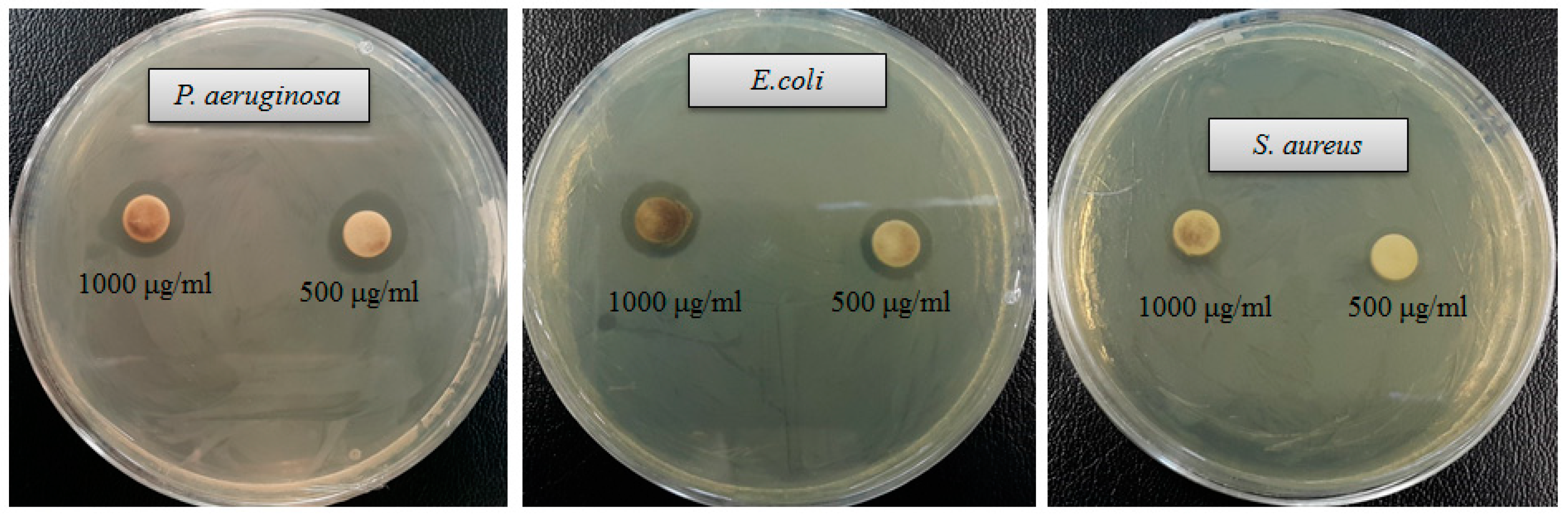 Ijms 21 01510 g007 Ijms 21 01510 g007