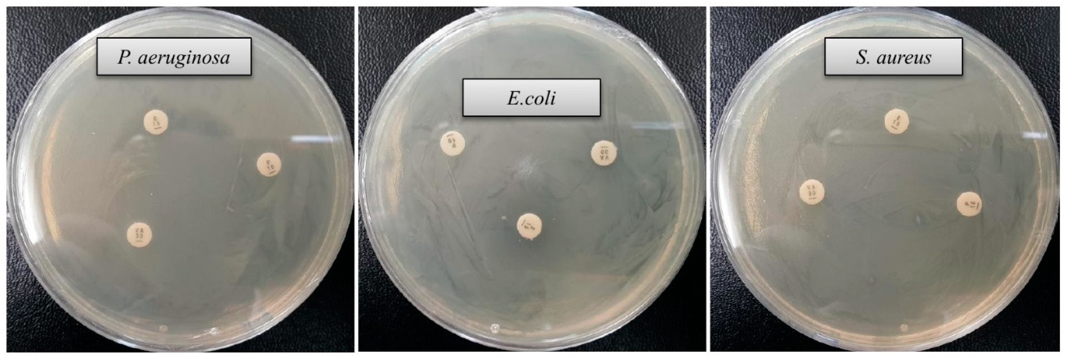 Ijms 21 01510 g008 Ijms 21 01510 g008