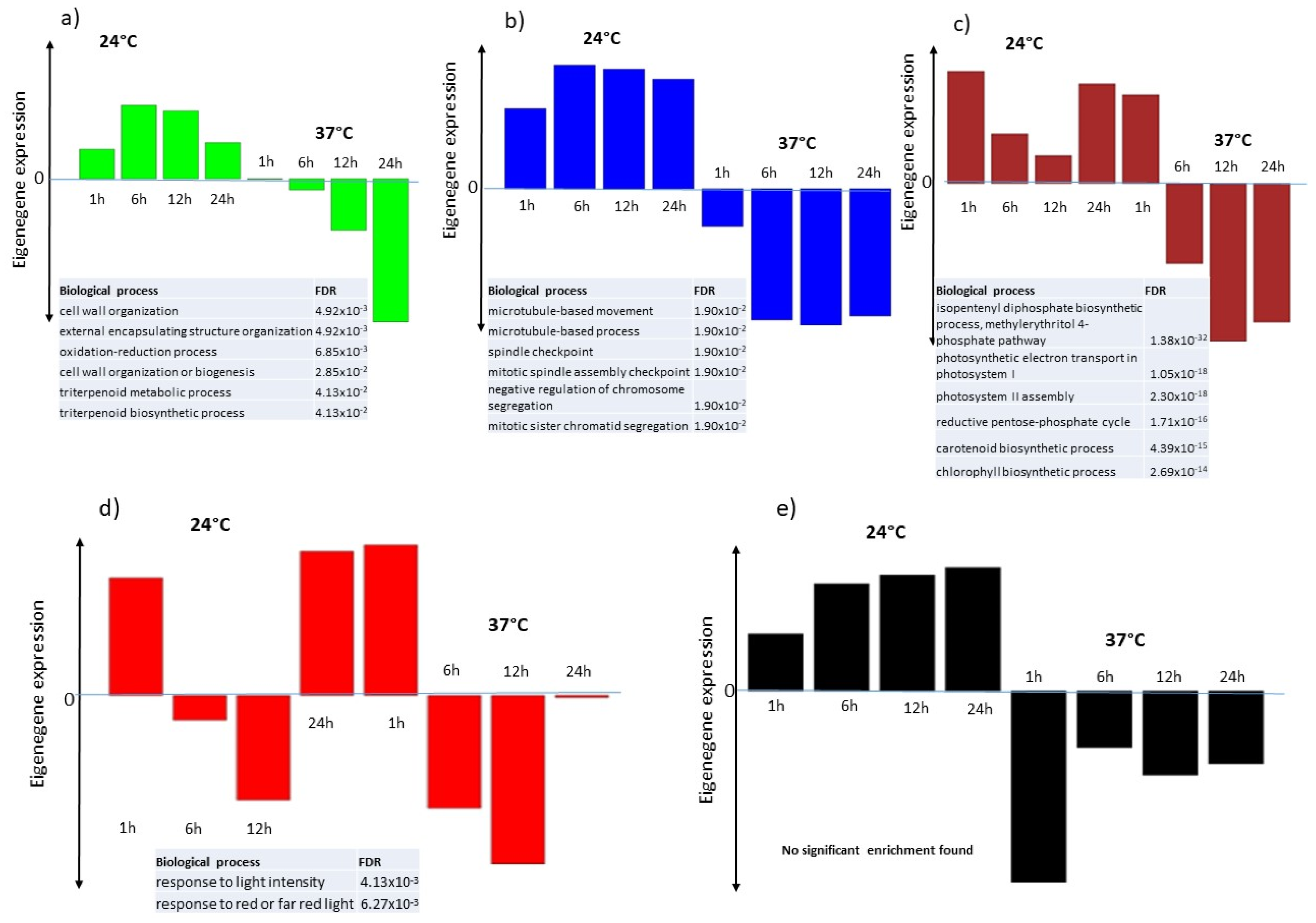 Ijms 21 01512 g008 Ijms 21 01512 g008
