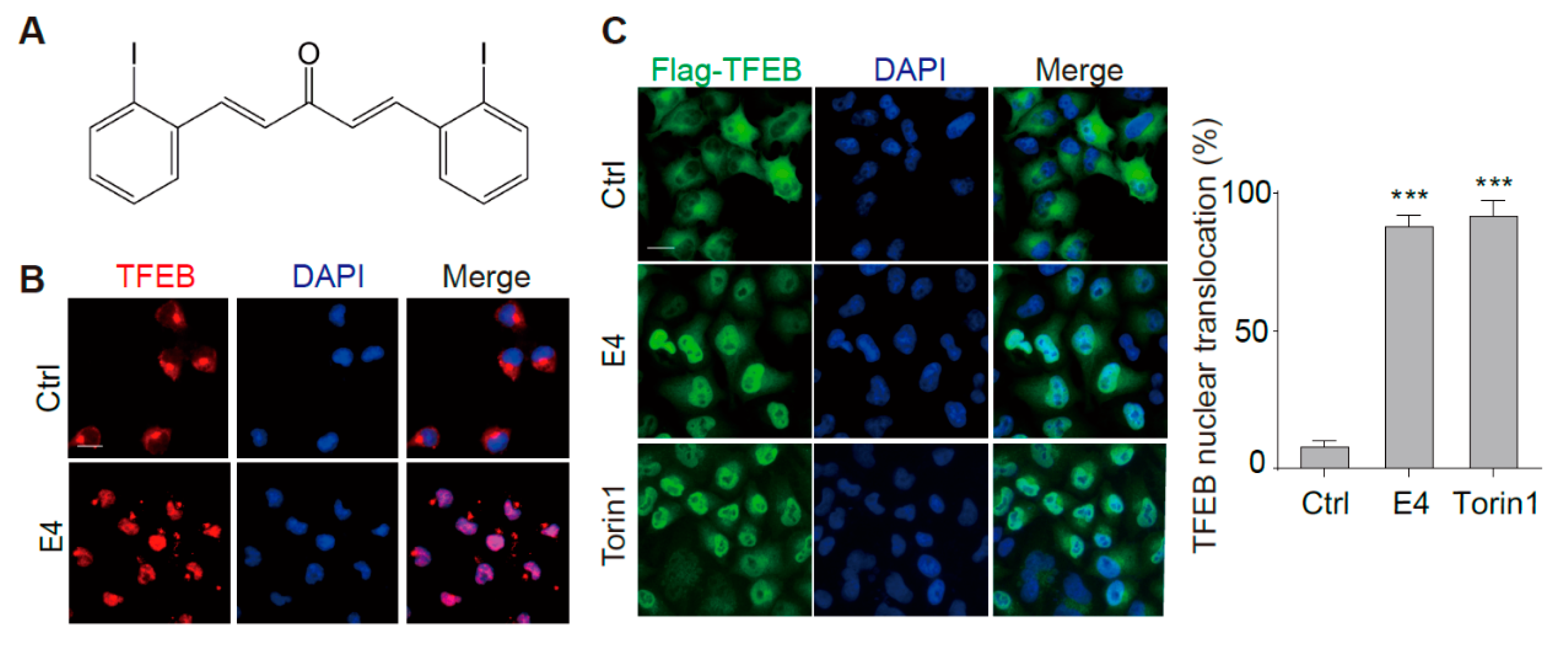 Ijms 21 01515 g001a Ijms 21 01515 g001a