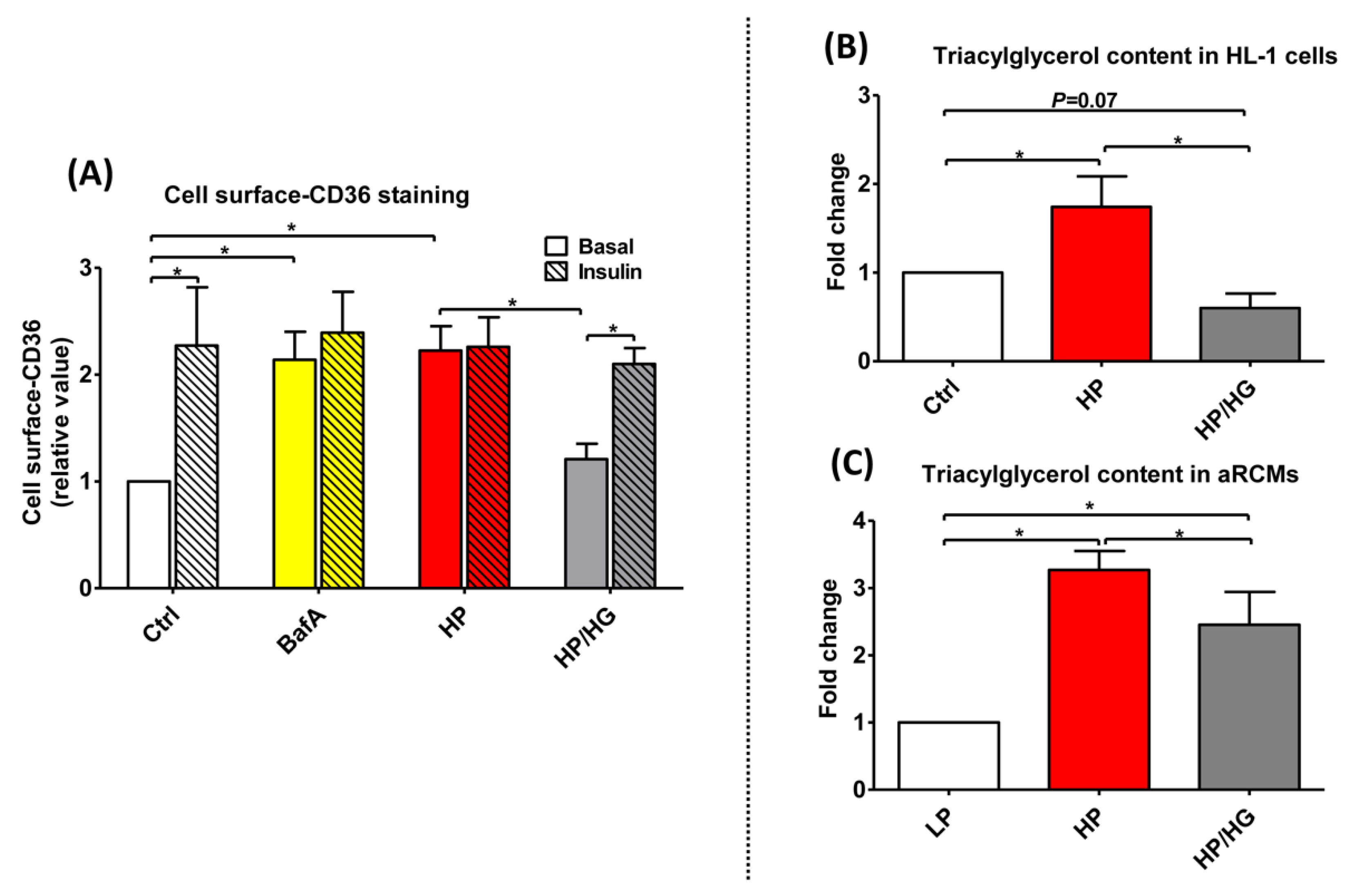 Ijms 21 01520 g002 Ijms 21 01520 g002