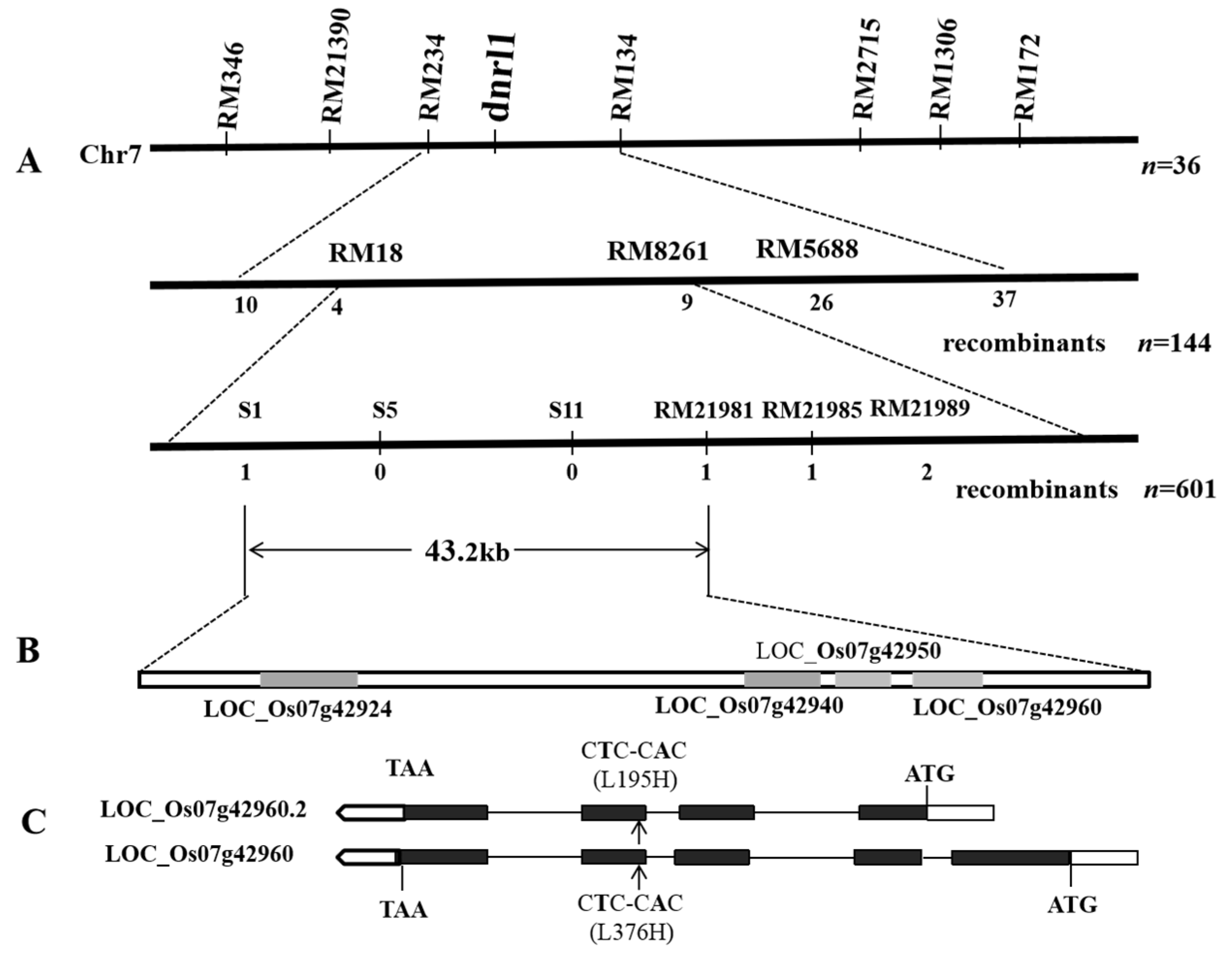 Ijms 21 01521 g002 Ijms 21 01521 g002