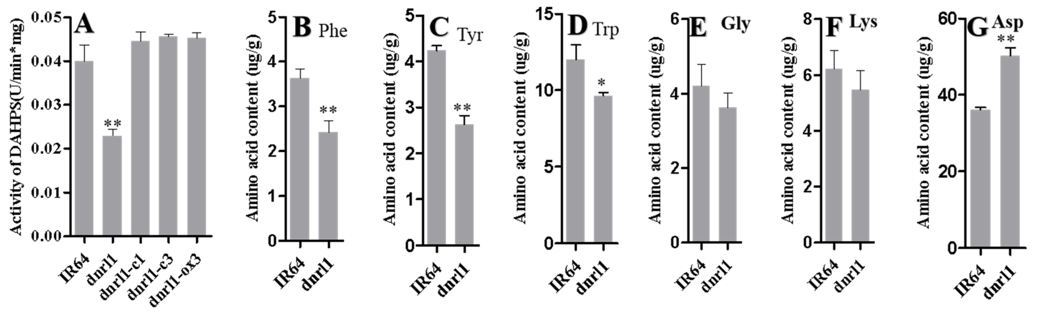 Ijms 21 01521 g004 Ijms 21 01521 g004