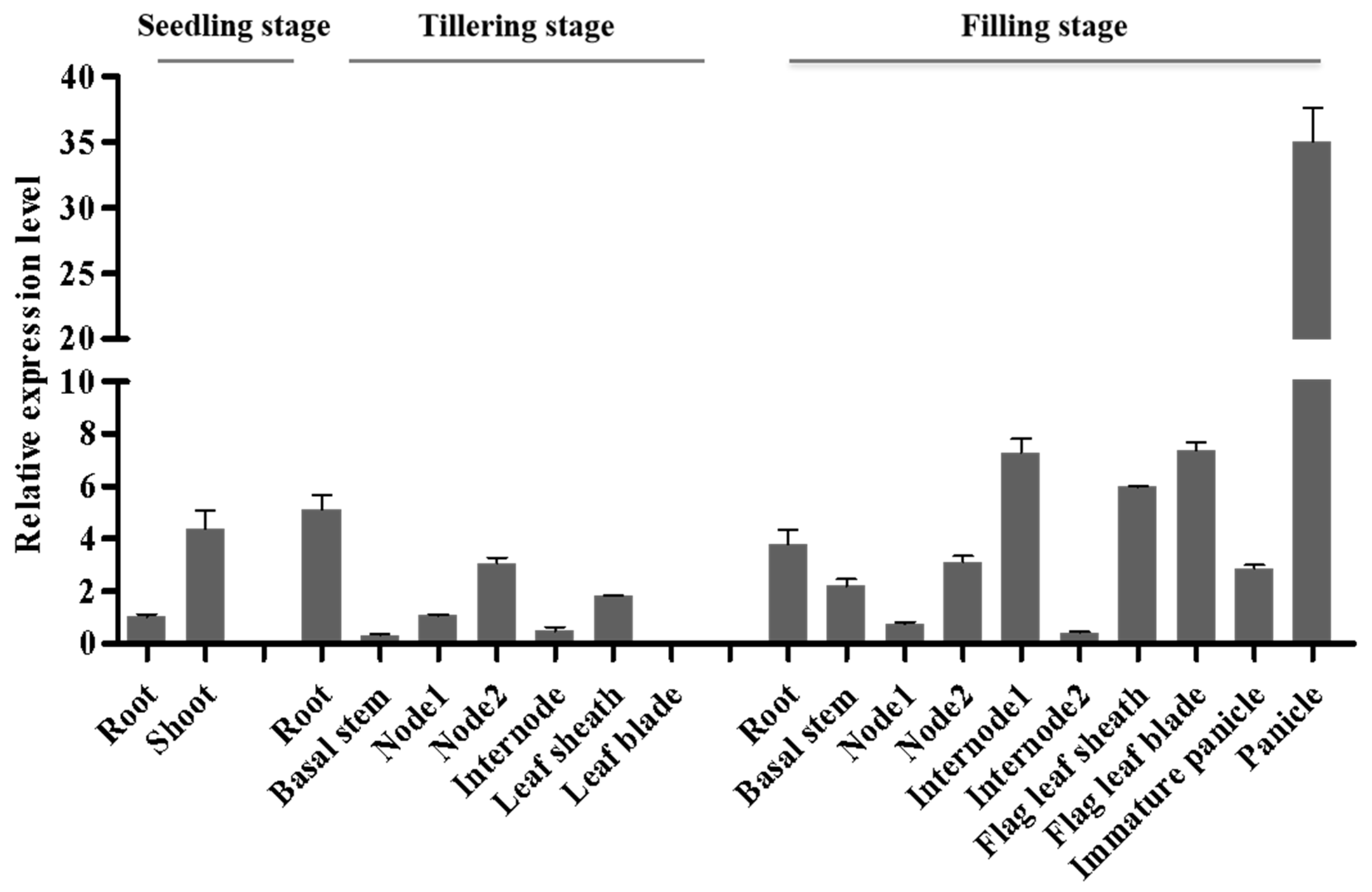 Ijms 21 01521 g005 Ijms 21 01521 g005