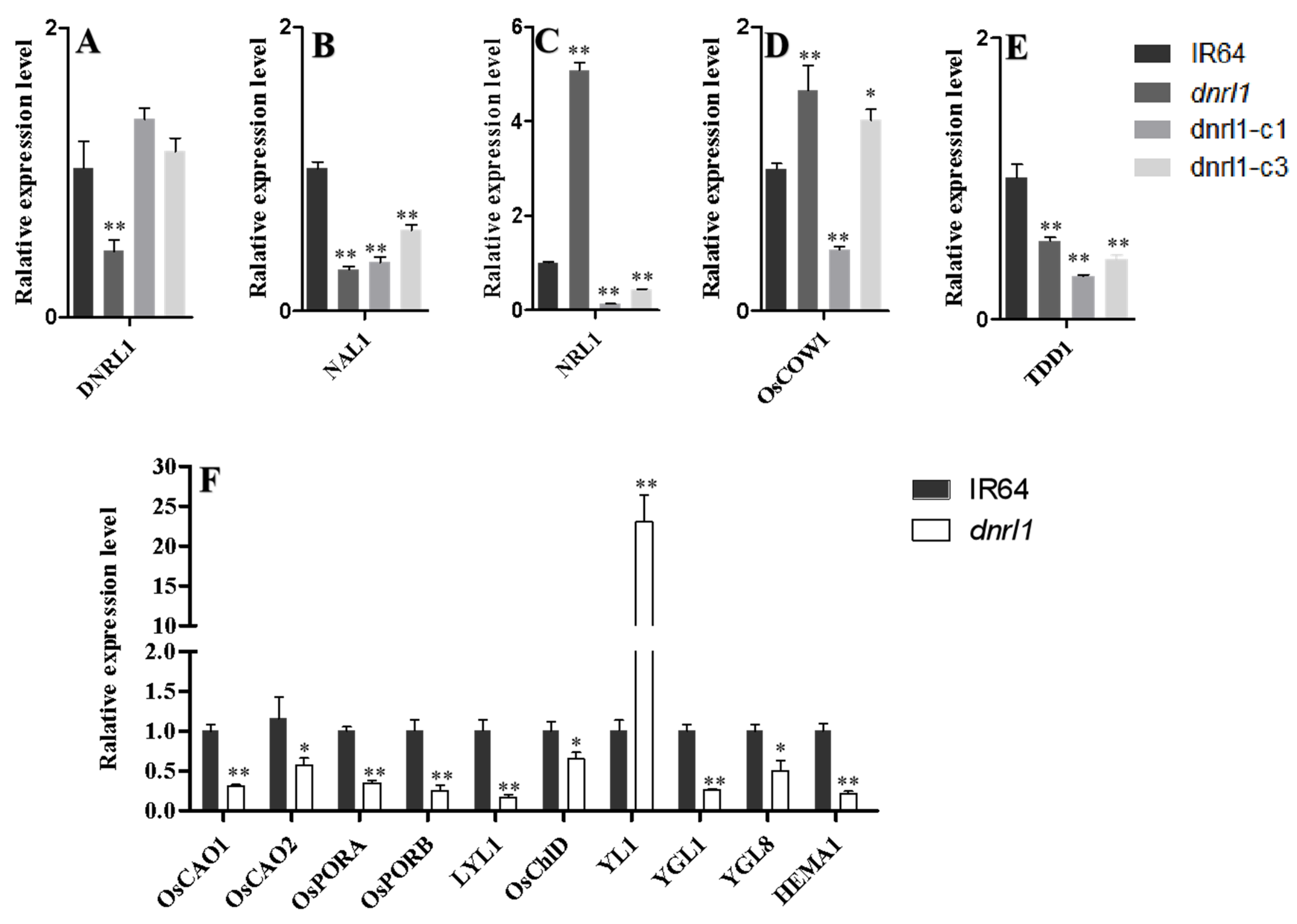 Ijms 21 01521 g007 Ijms 21 01521 g007