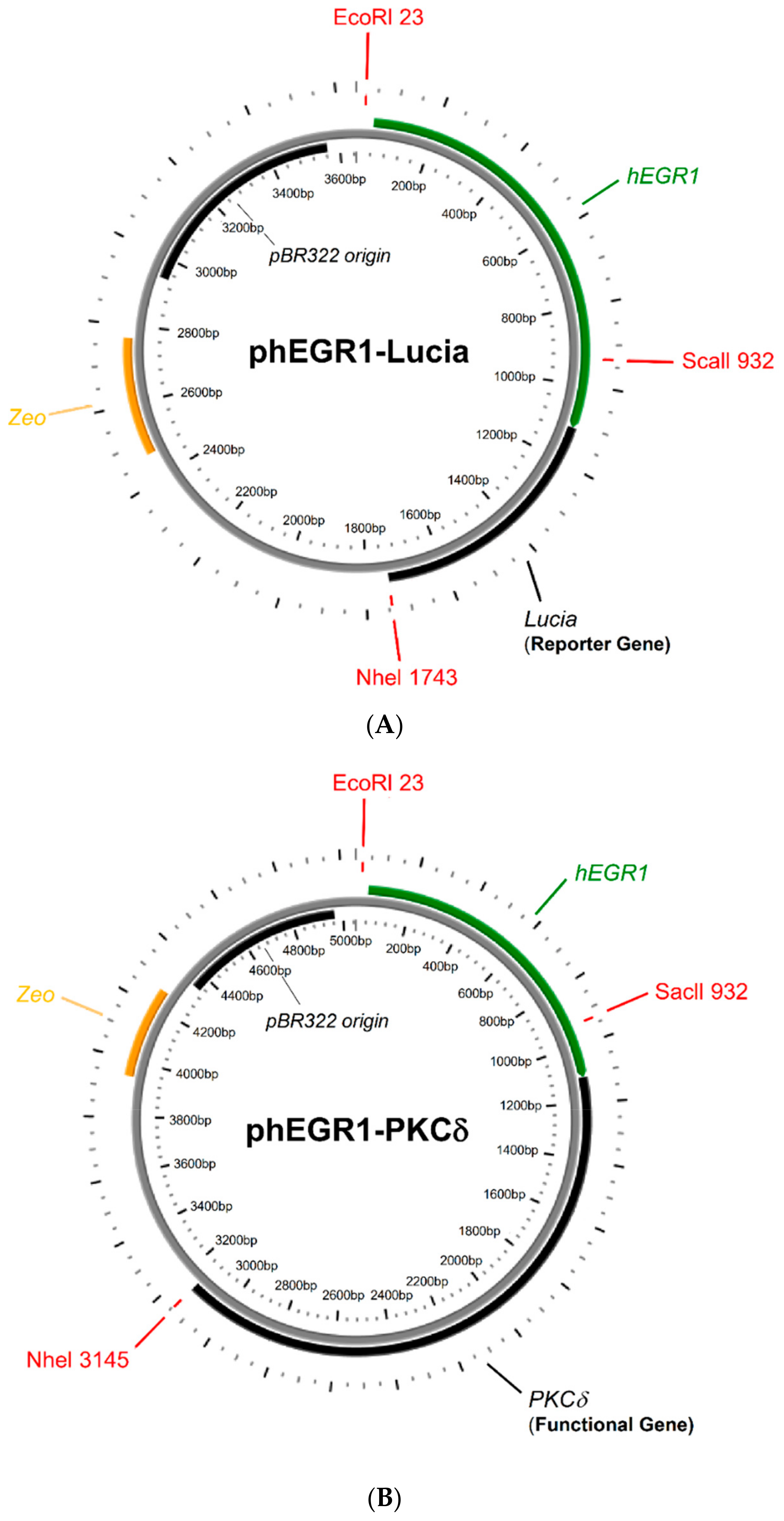 Ijms 21 01530 sch001