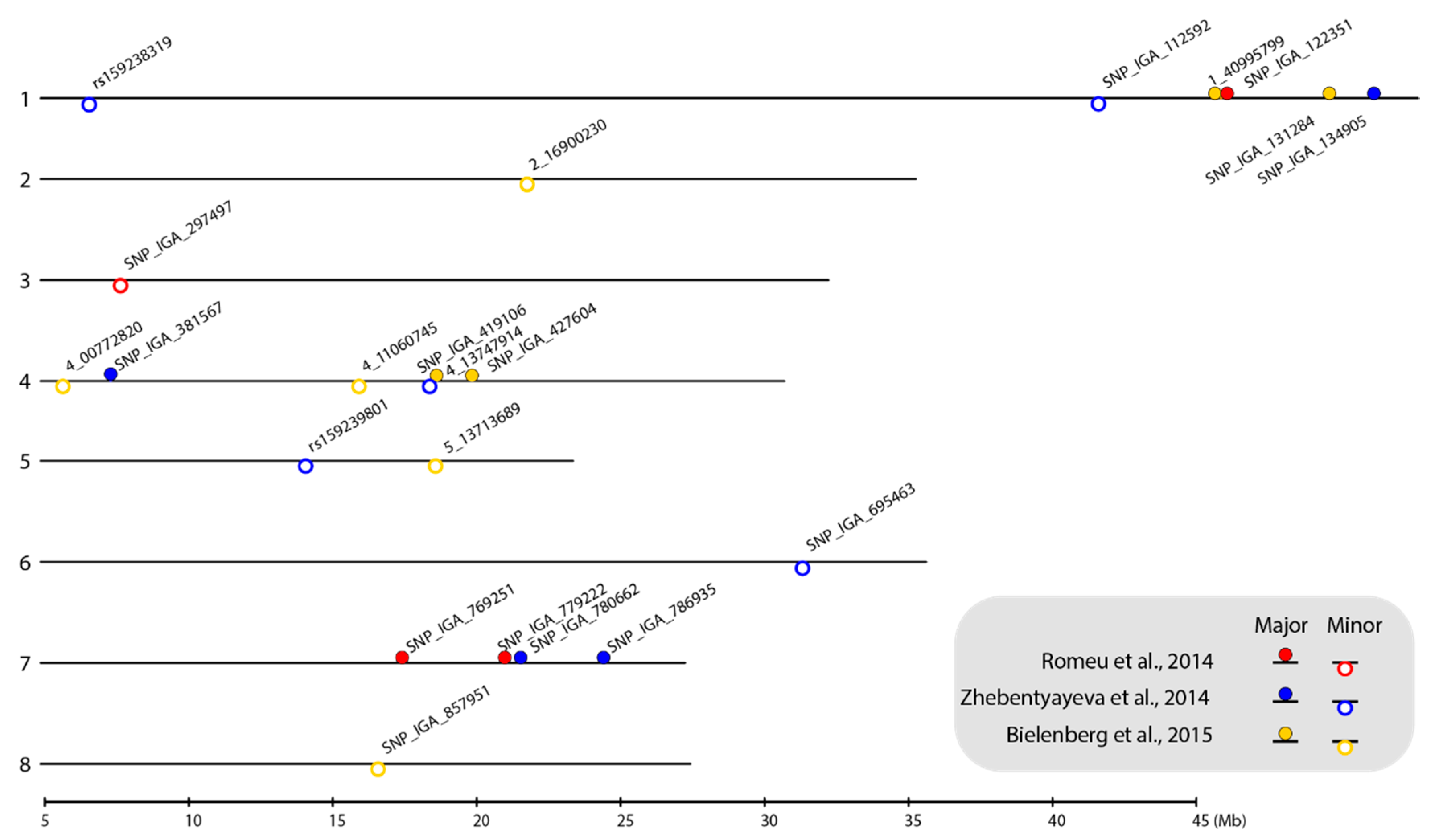 Ijms 21 01543 g001 Ijms 21 01543 g001