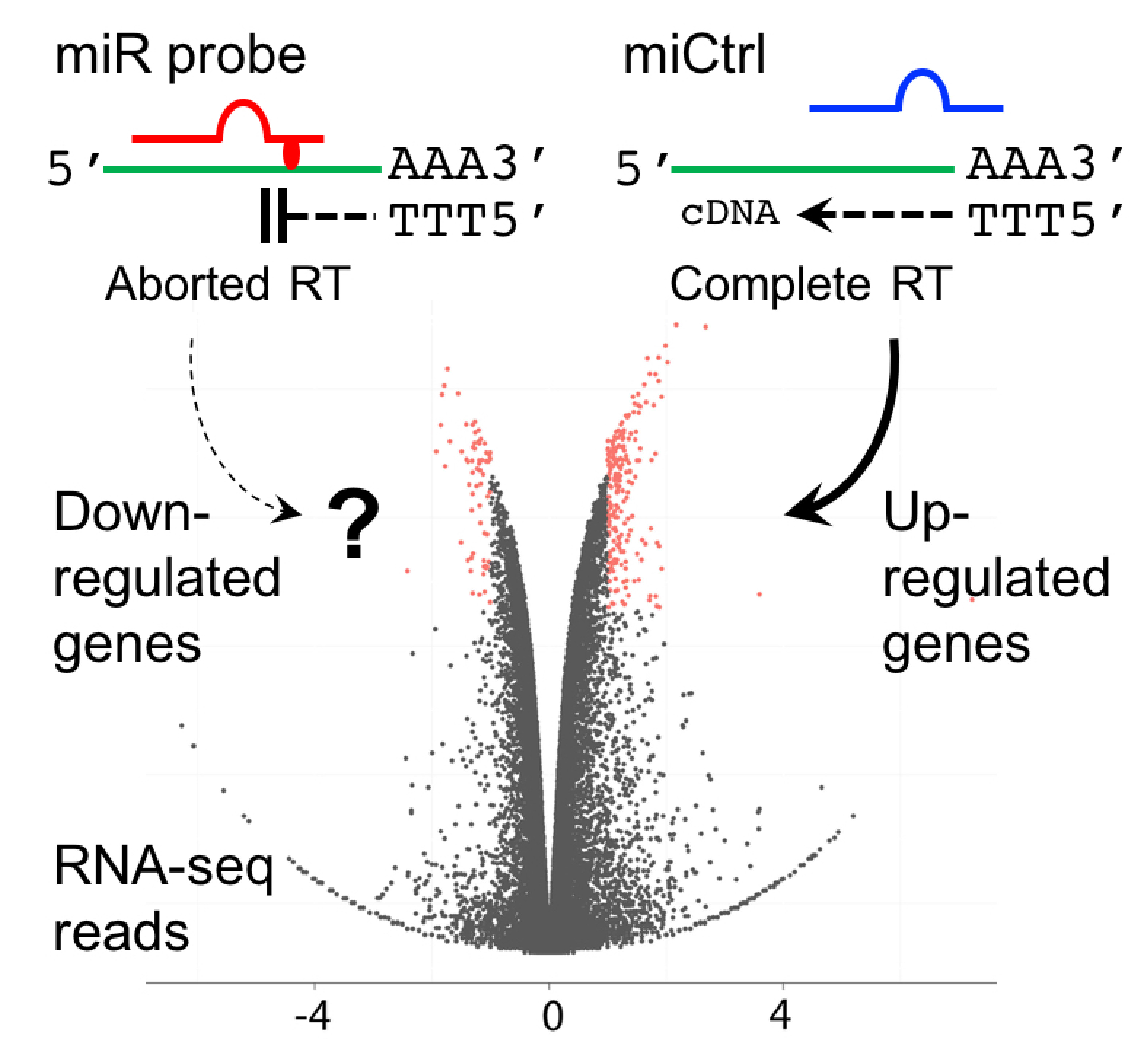 IJMS Free FullText Analysis and Identification of Tumorigenic
