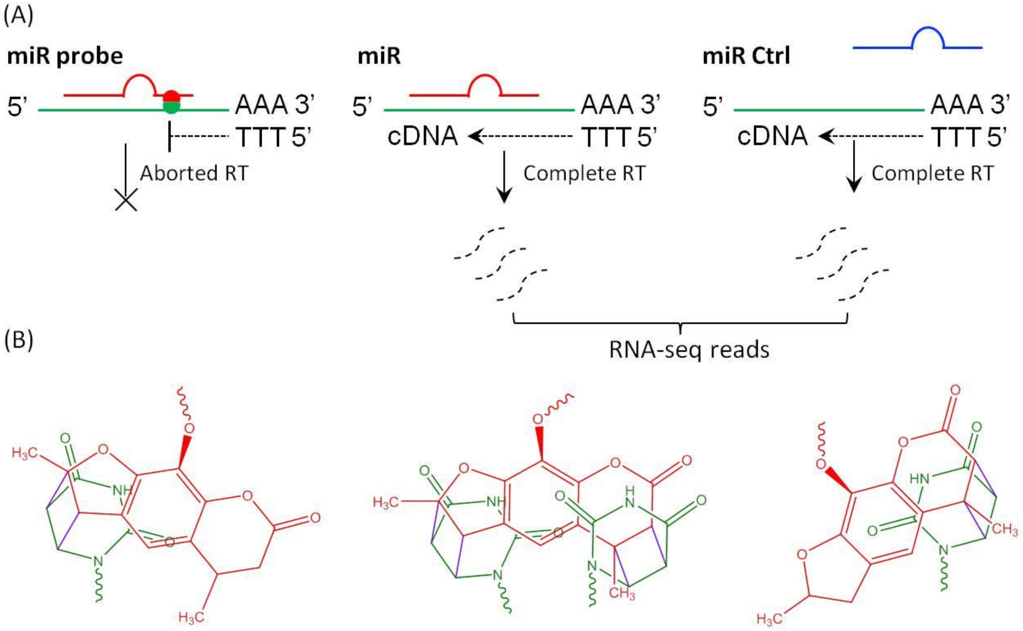 Ijms 21 01545 g001 Ijms 21 01545 g001