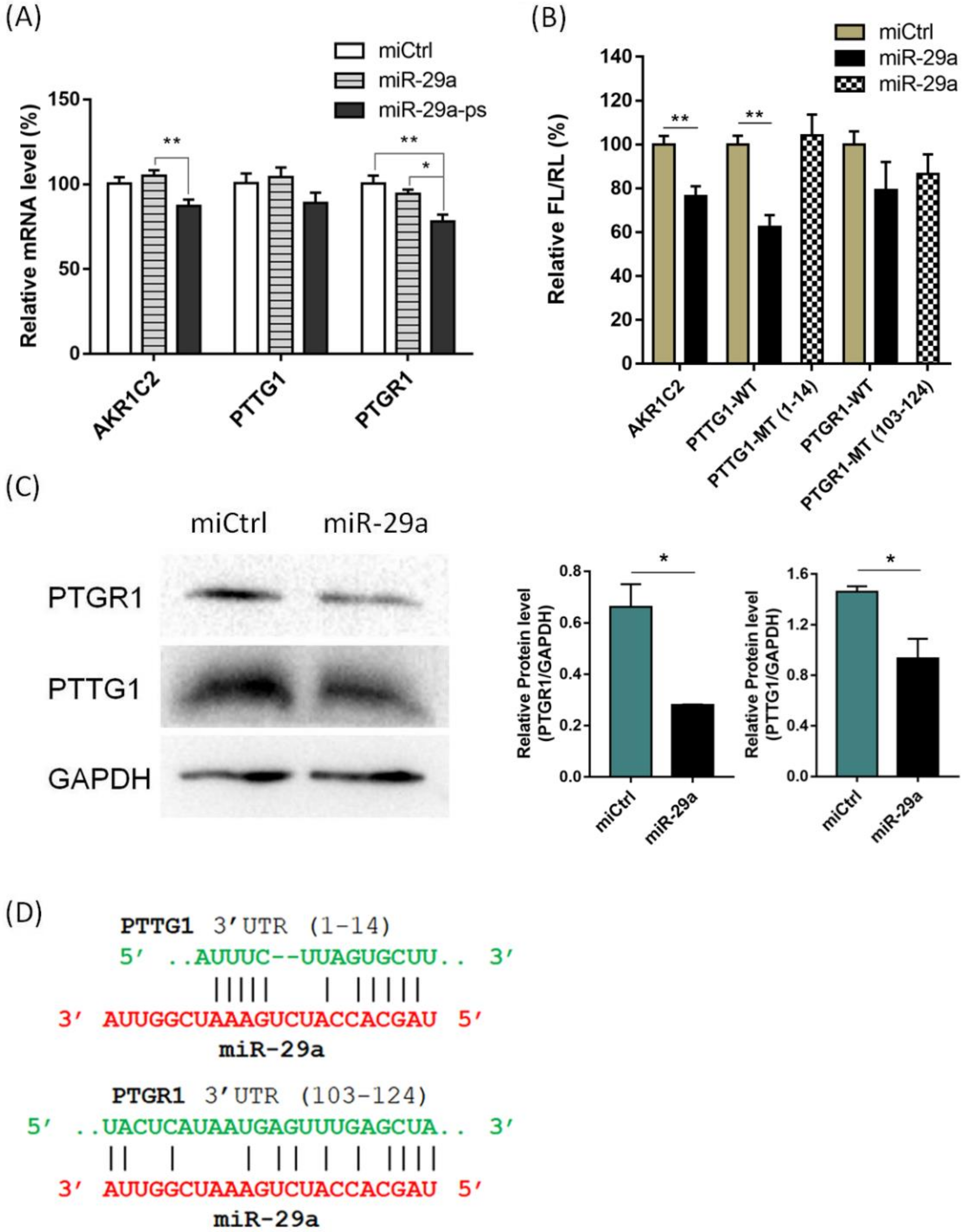 Ijms 21 01545 g004 Ijms 21 01545 g004
