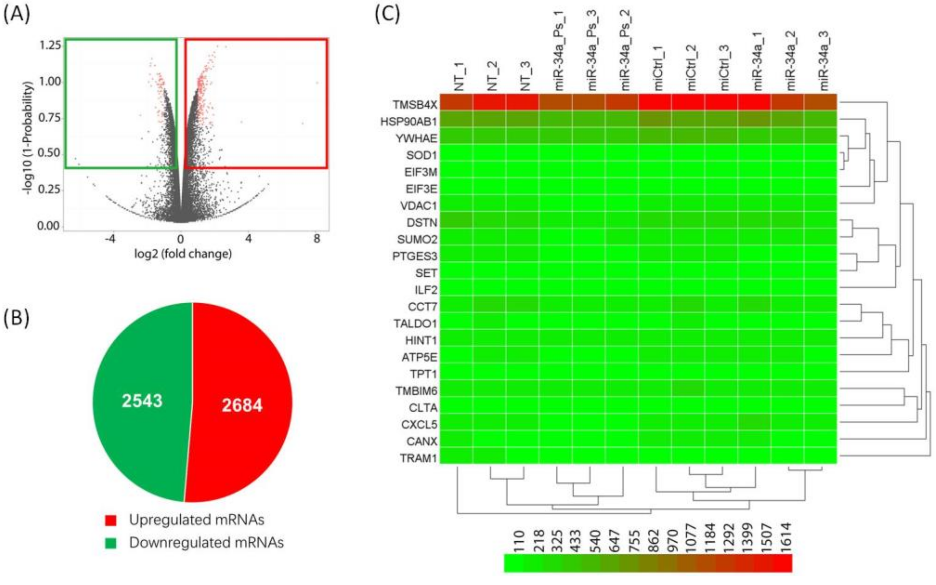 Ijms 21 01545 g005 Ijms 21 01545 g005