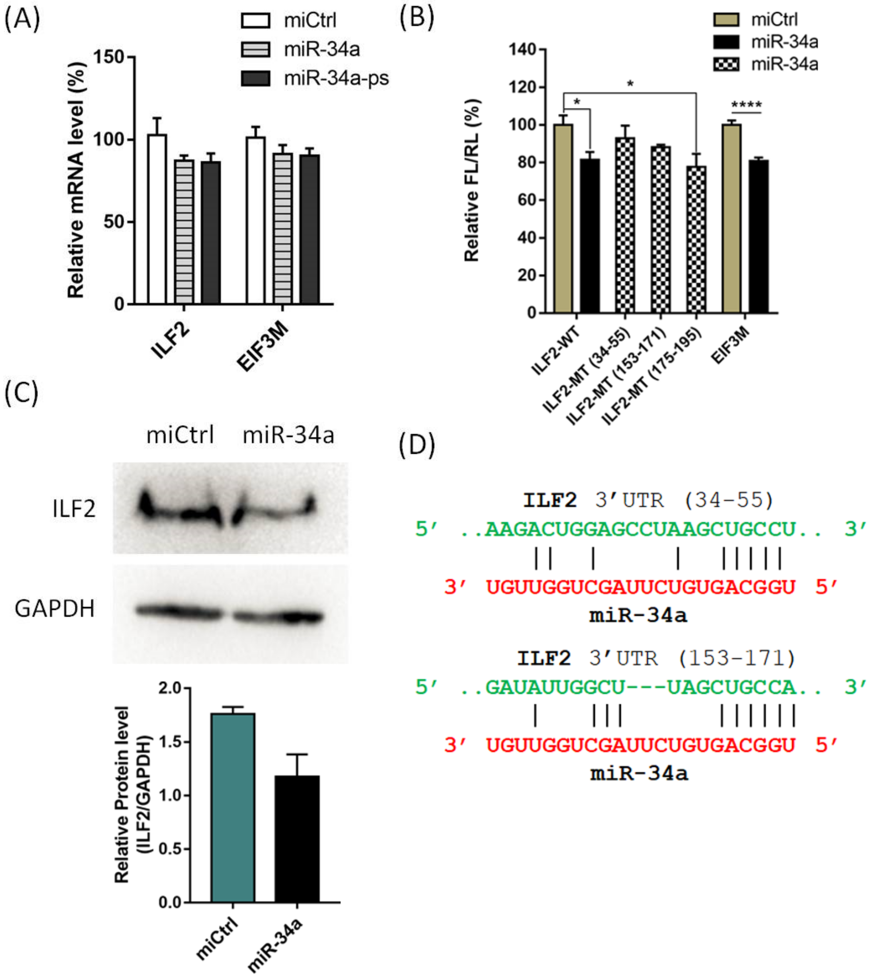 Ijms 21 01545 g006 Ijms 21 01545 g006