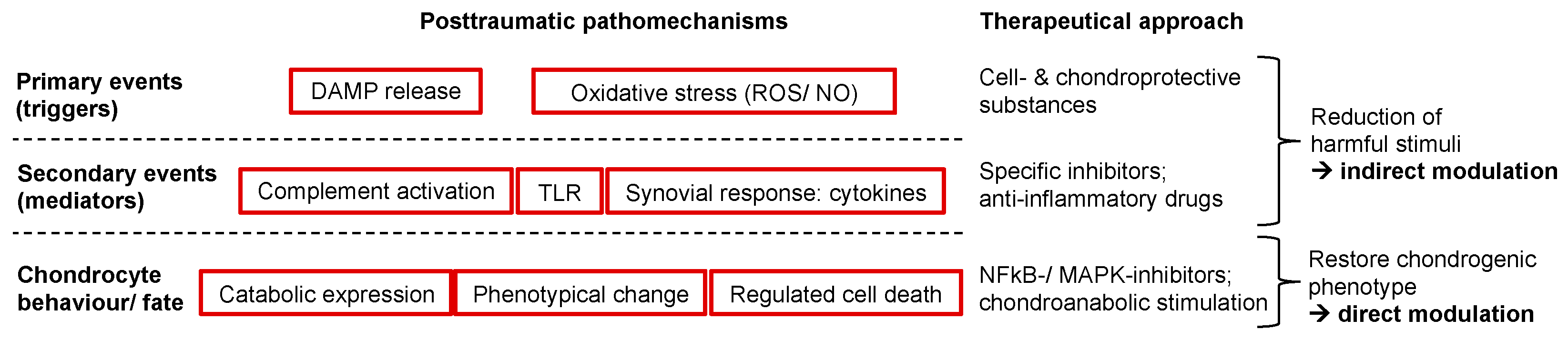 Ijms 21 01560 g003 Ijms 21 01560 g003