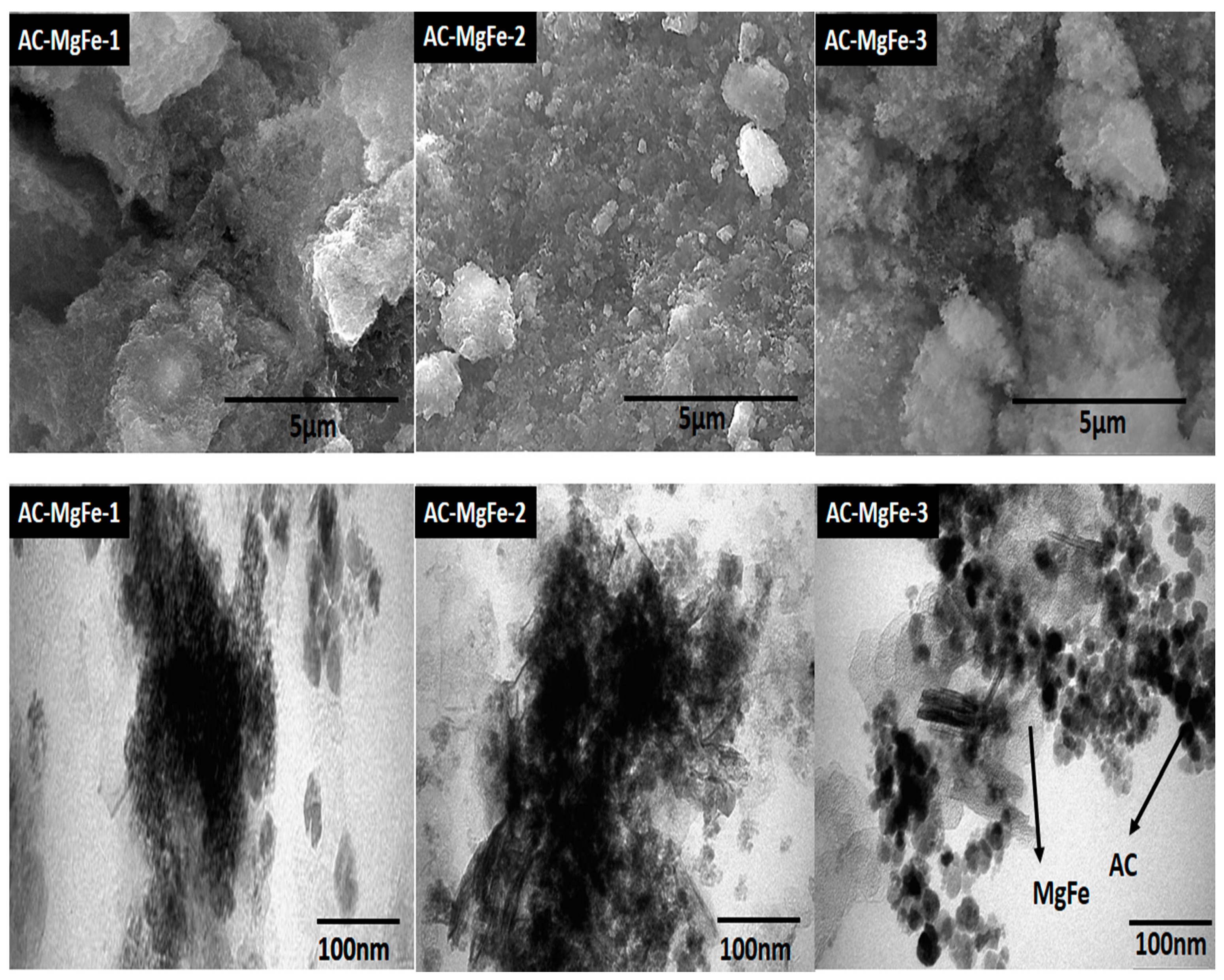 Ijms 21 01563 g002 Ijms 21 01563 g002