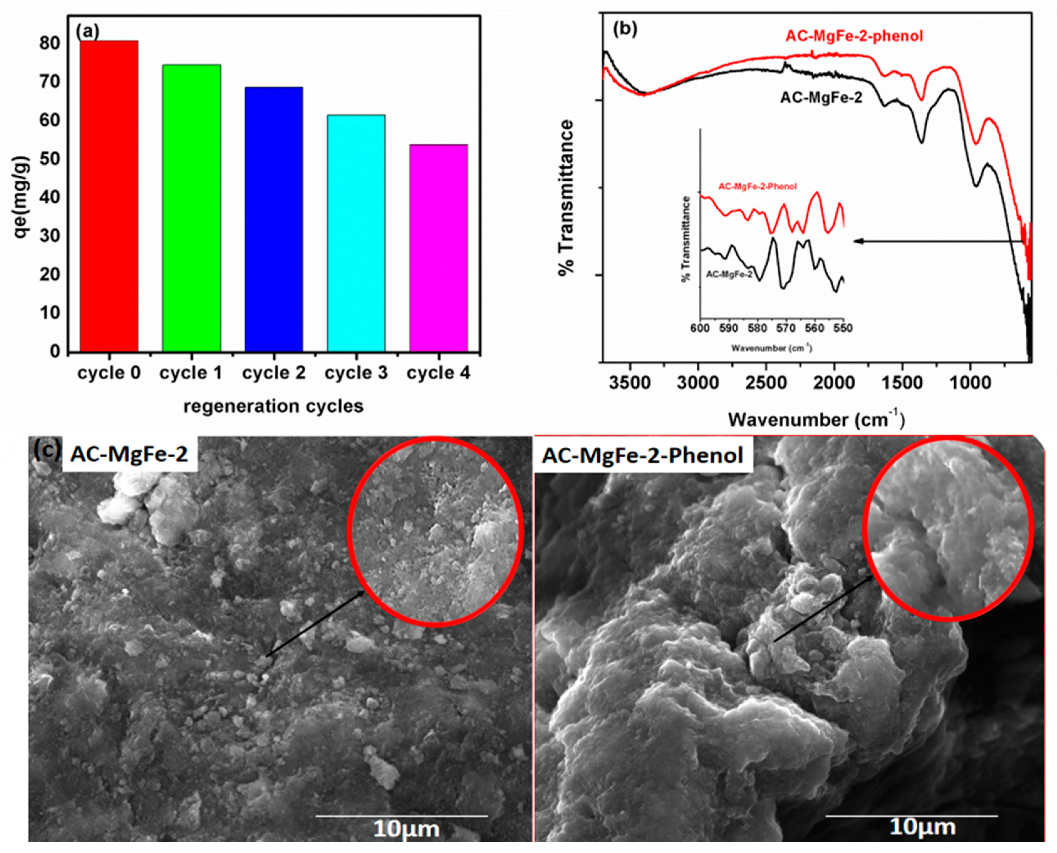 Ijms 21 01563 g008 Ijms 21 01563 g008