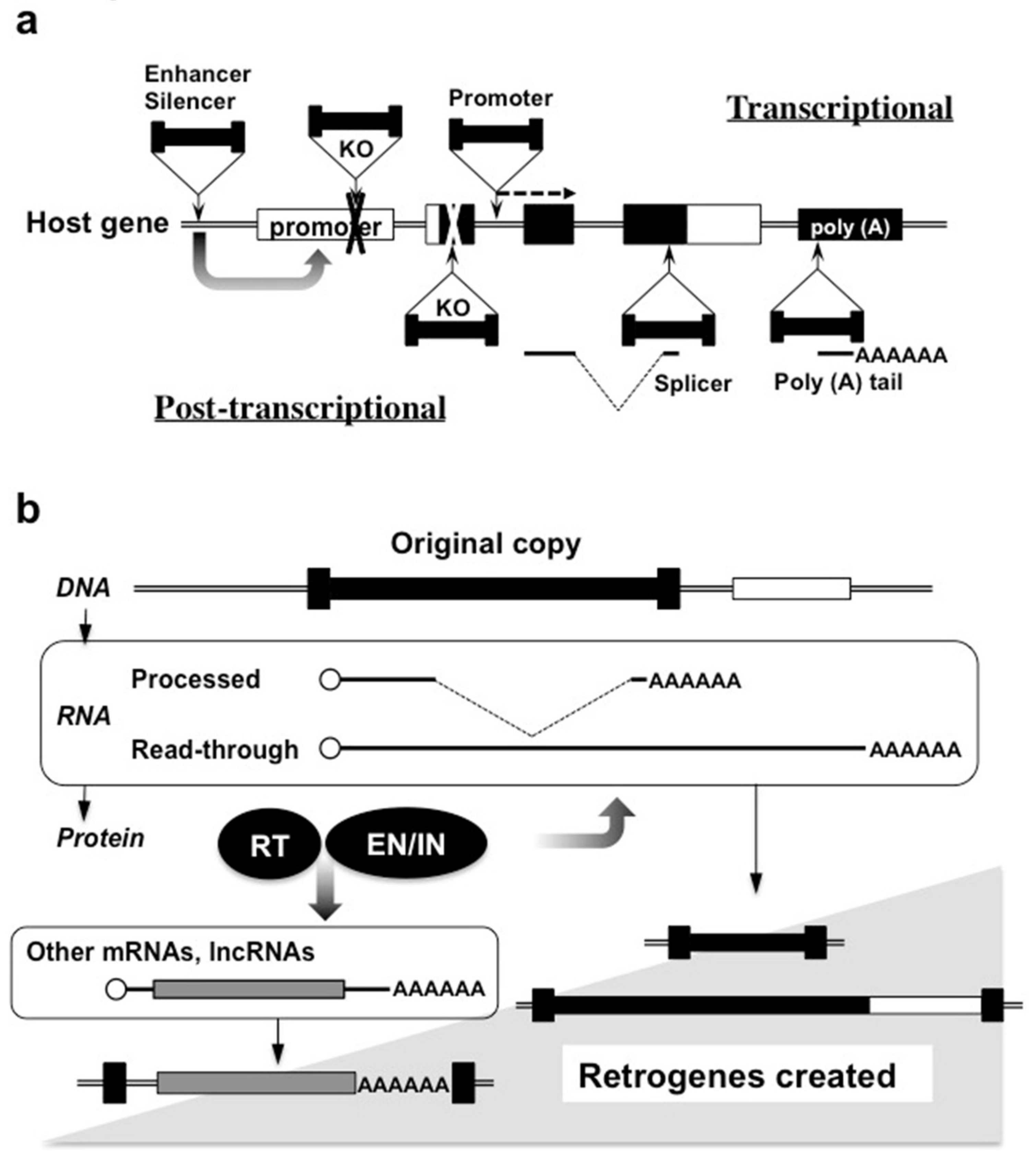 Ijms 21 01564 g002 Ijms 21 01564 g002