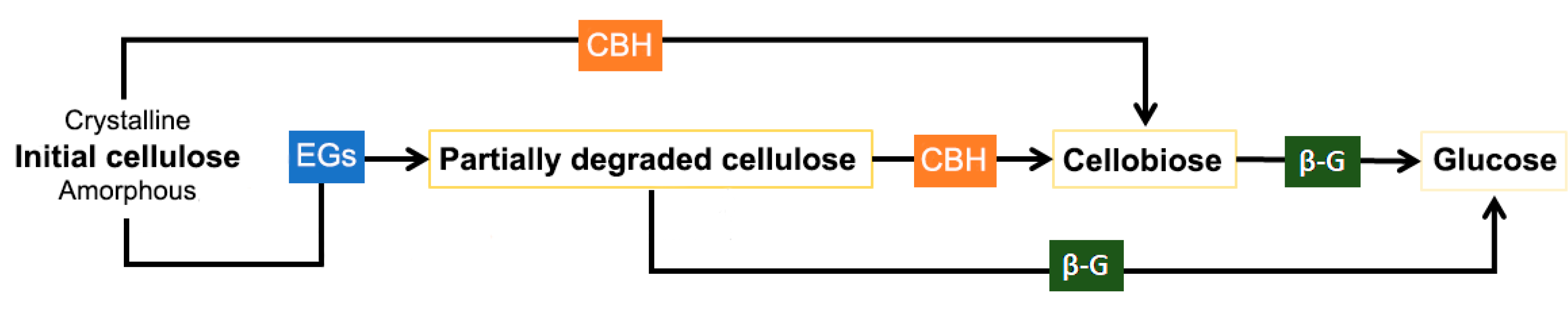 Ijms 21 01589 g003 Ijms 21 01589 g003