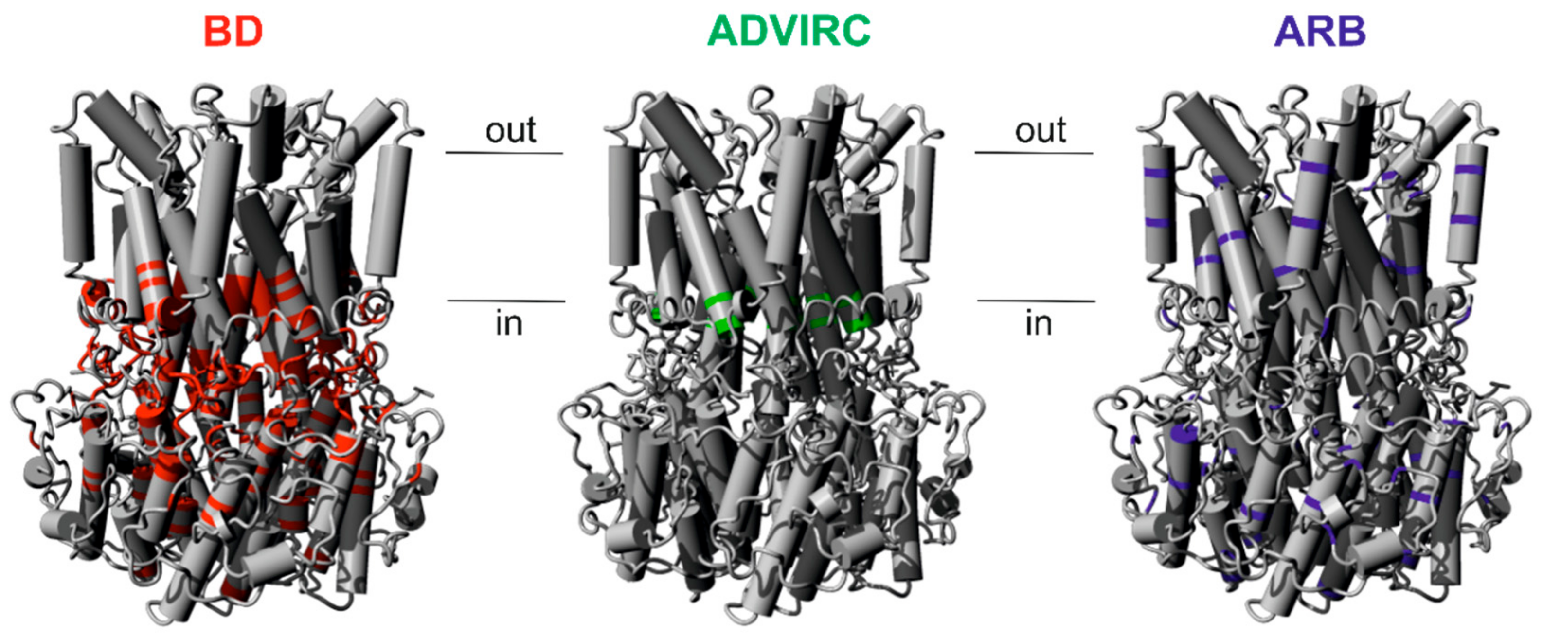 Ijms 21 01597 g001 Ijms 21 01597 g001