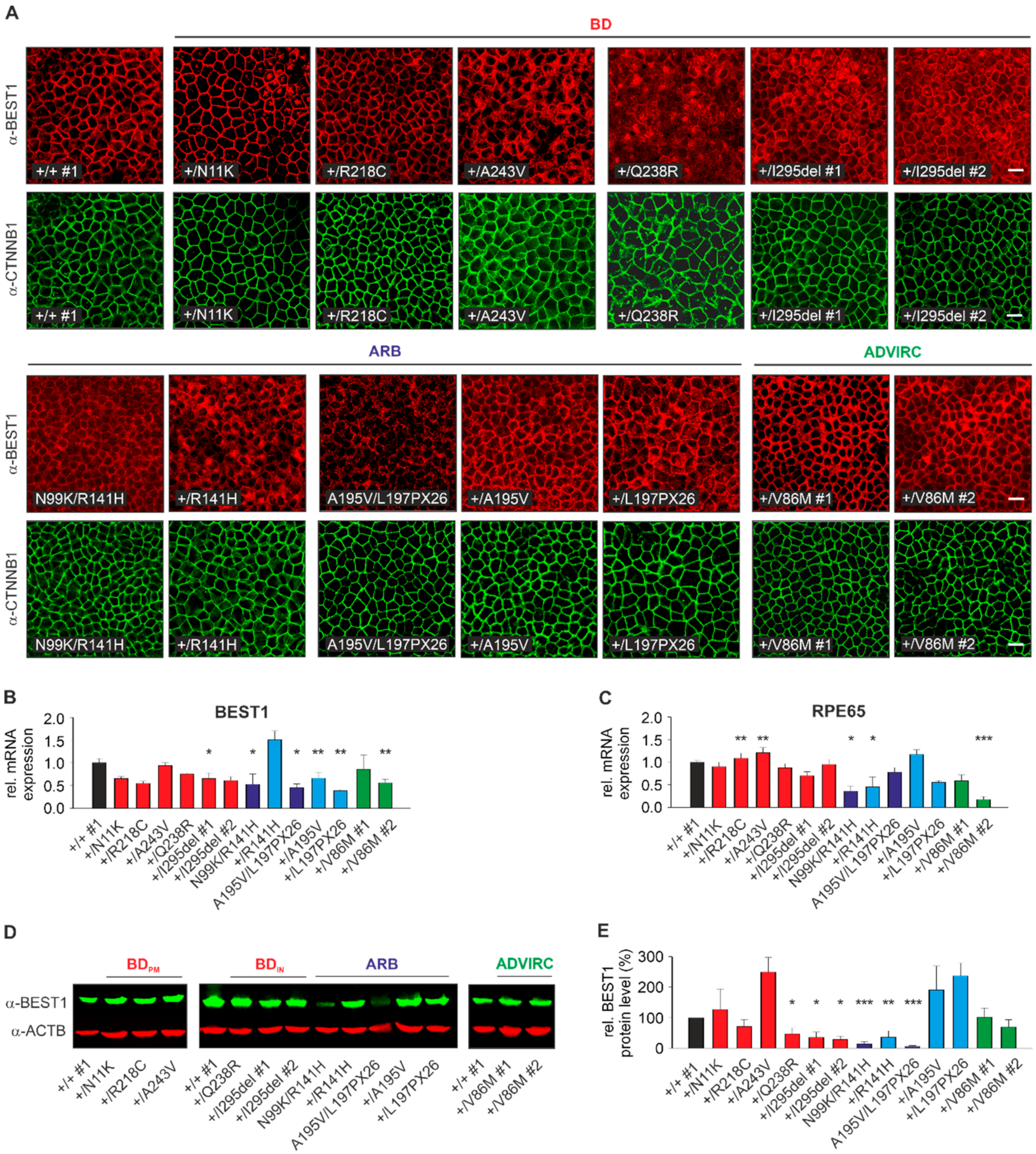 Ijms 21 01597 g002 Ijms 21 01597 g002