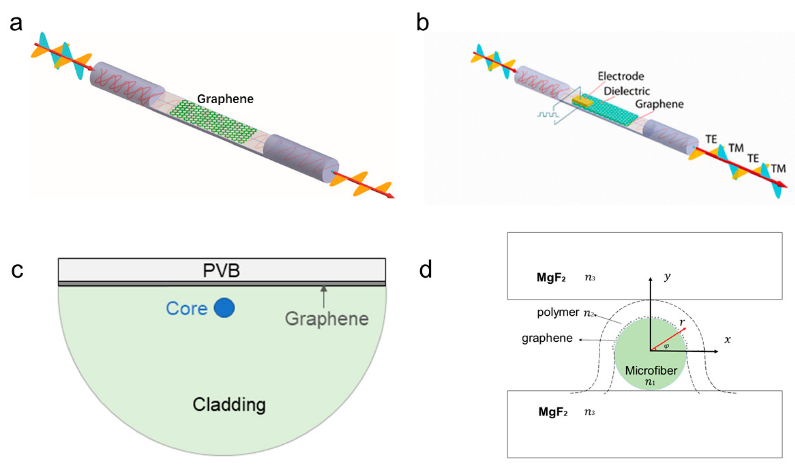 Ijms 21 01608 g002 Ijms 21 01608 g002
