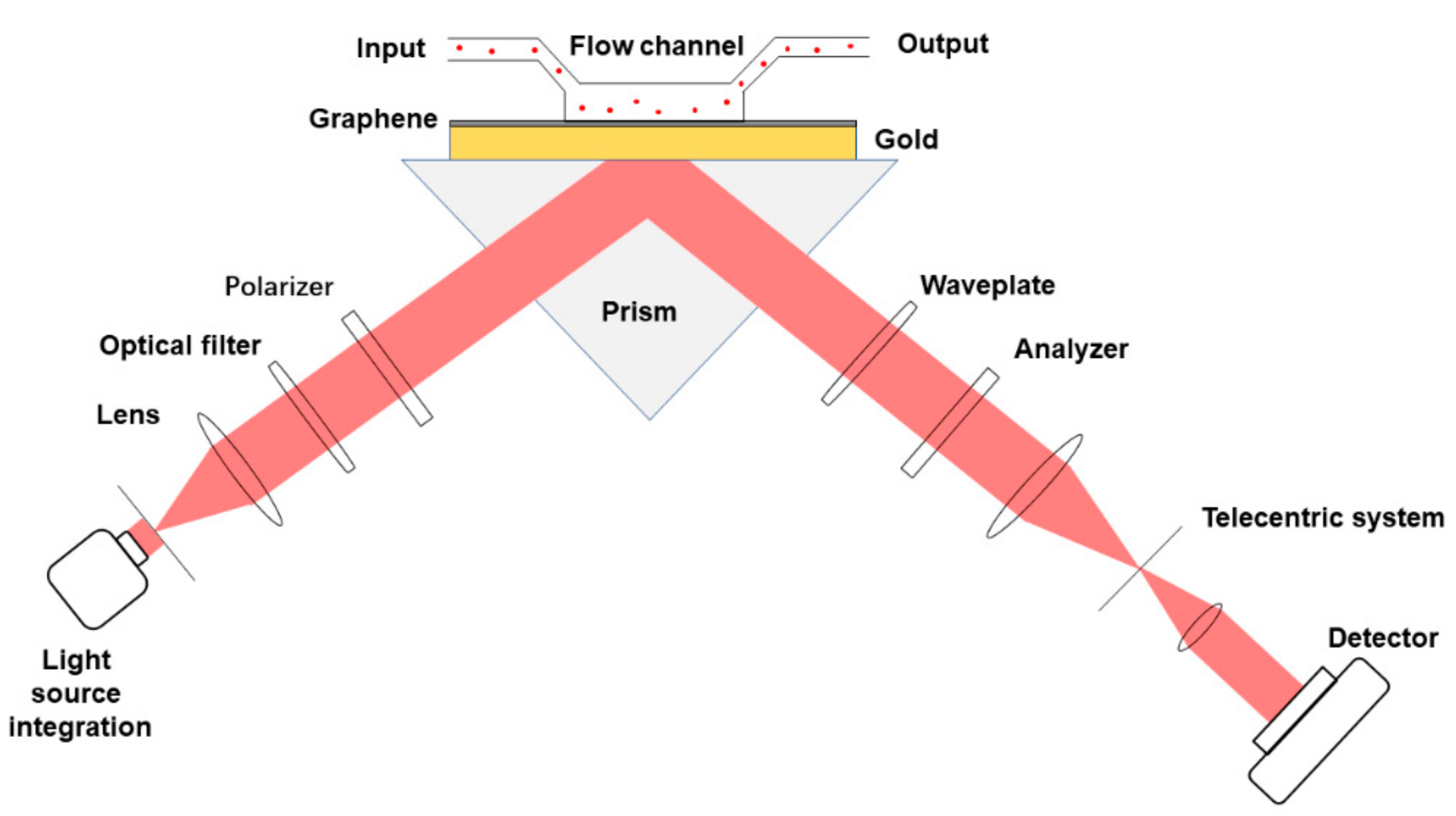 Ijms 21 01608 g005 Ijms 21 01608 g005