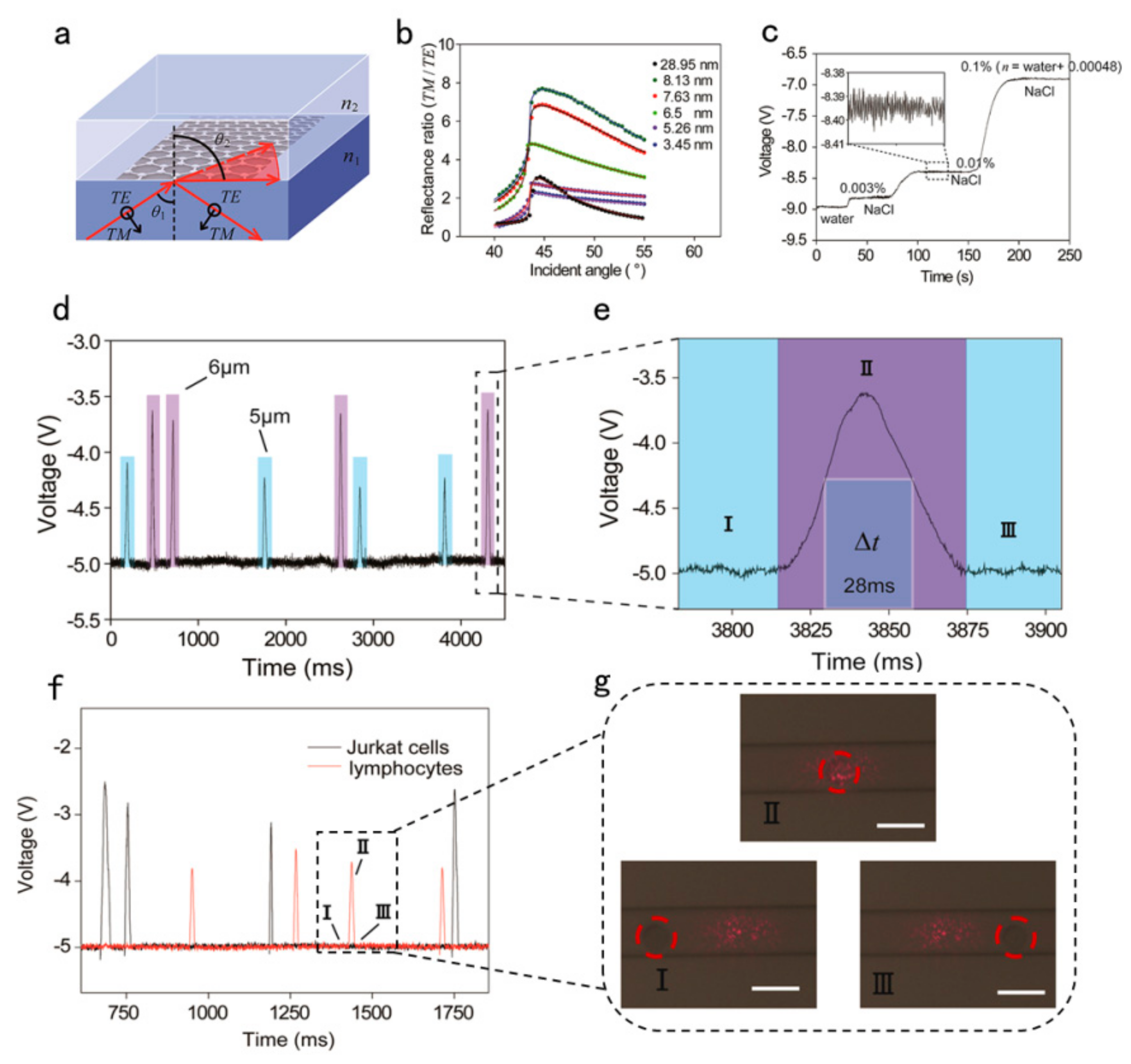 Ijms 21 01608 g006 Ijms 21 01608 g006