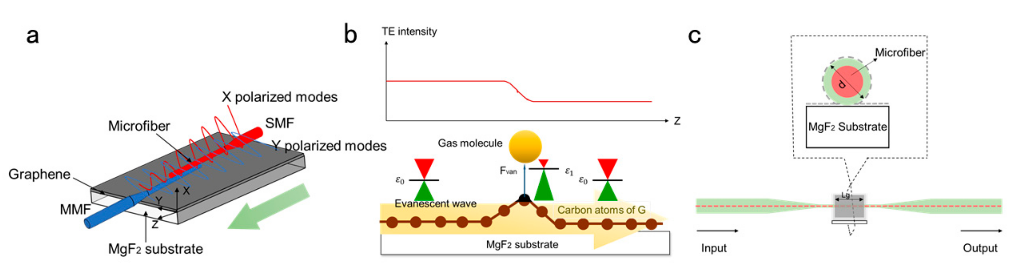 Ijms 21 01608 g007 Ijms 21 01608 g007