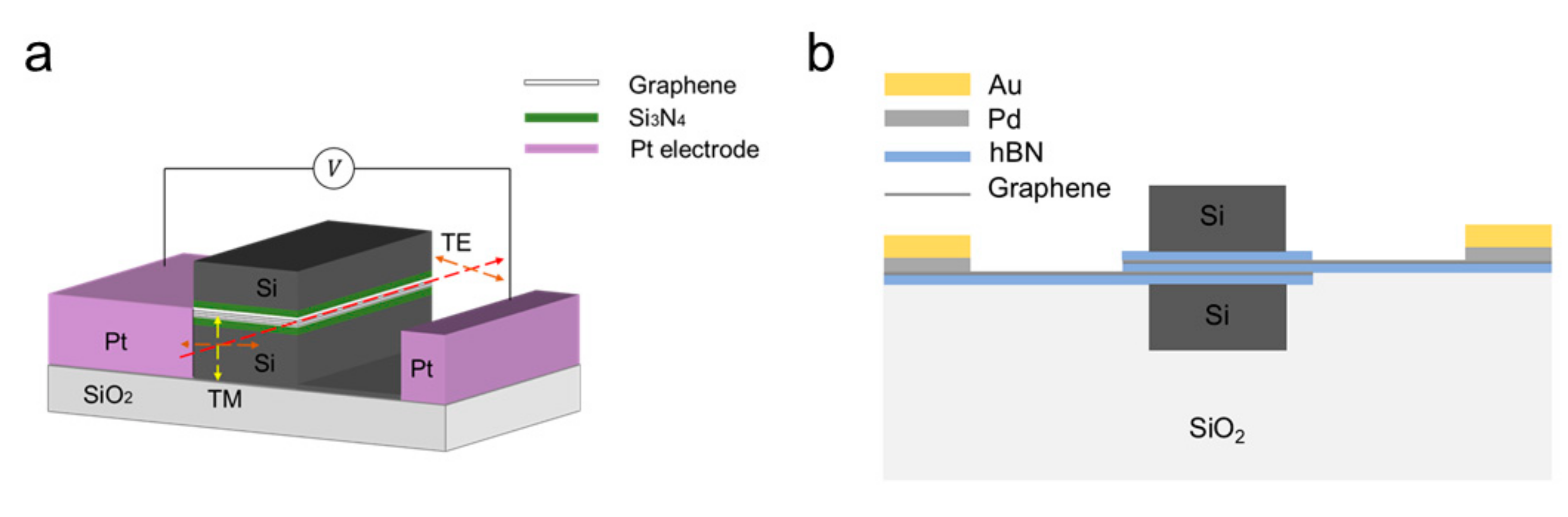 Ijms 21 01608 g008 Ijms 21 01608 g008
